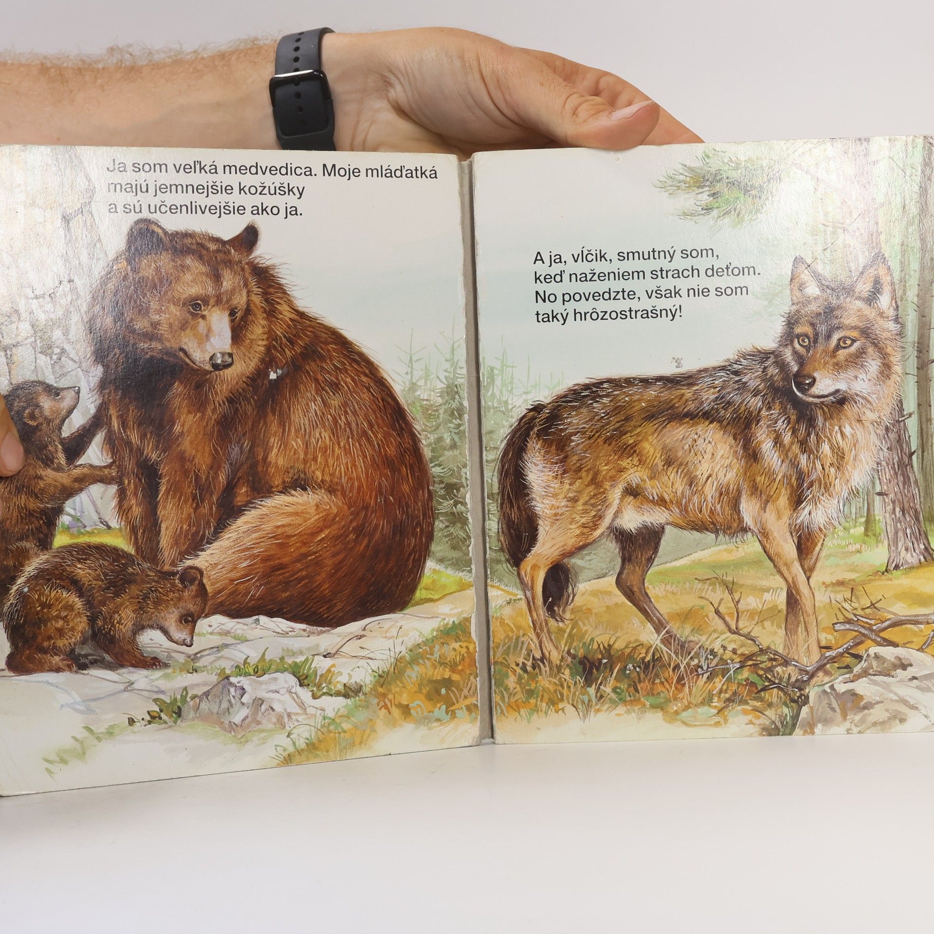 Kolektiv autorů Moje najmilšie zvieratká v lese