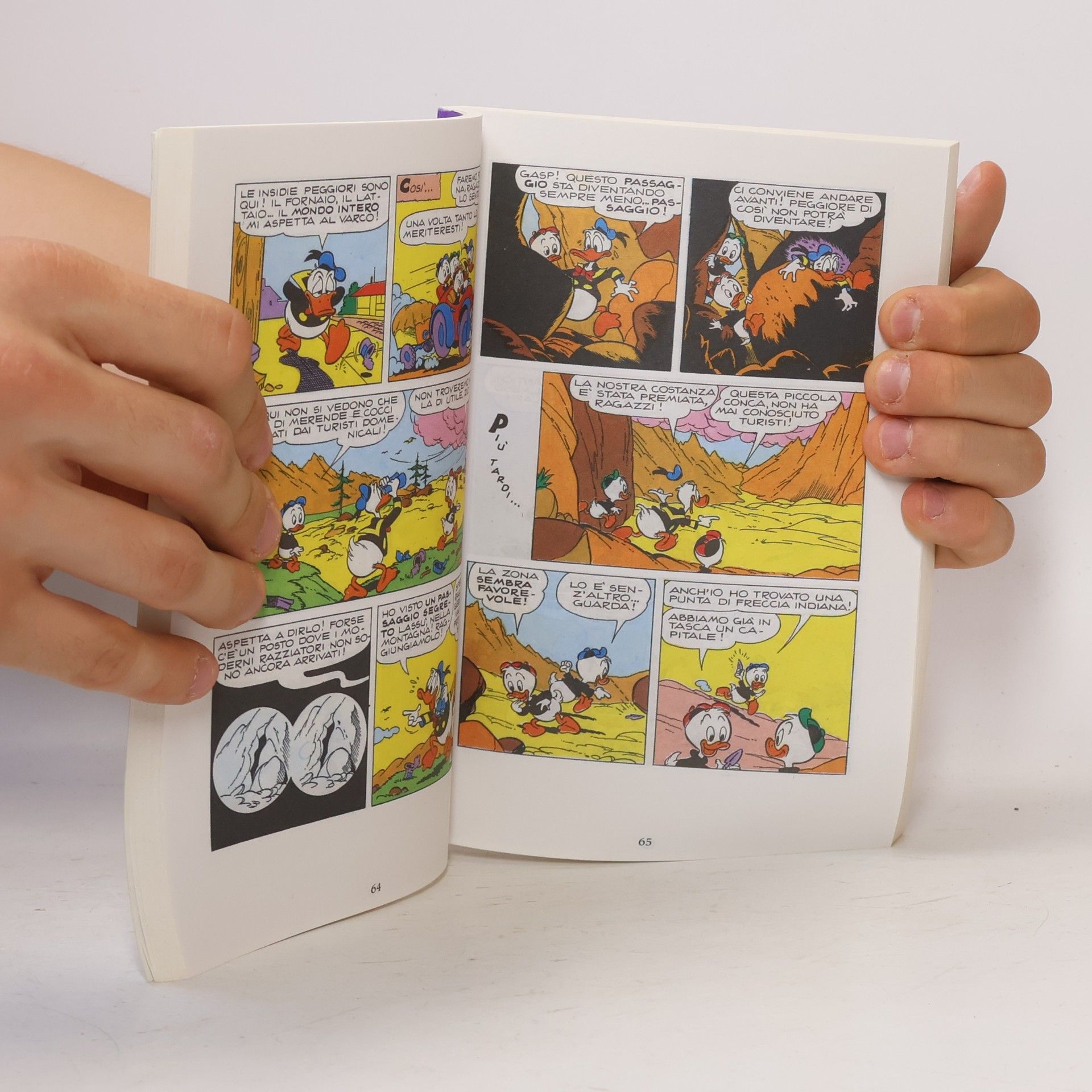 Walt Disney Paperino e... il Lavoro