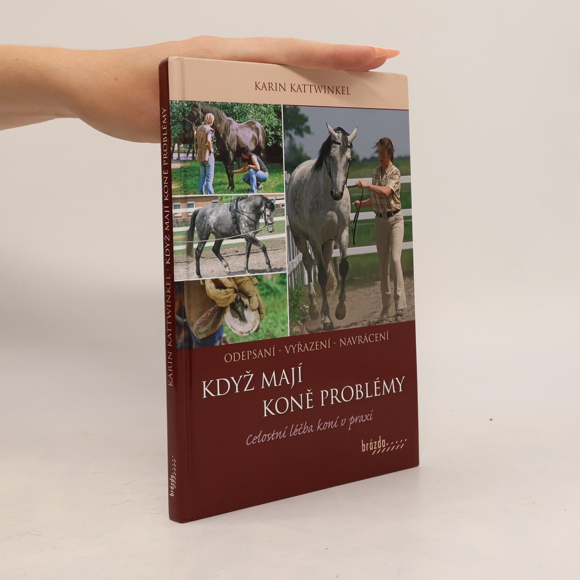 Karin Kattwinkel Když koně mají problémy