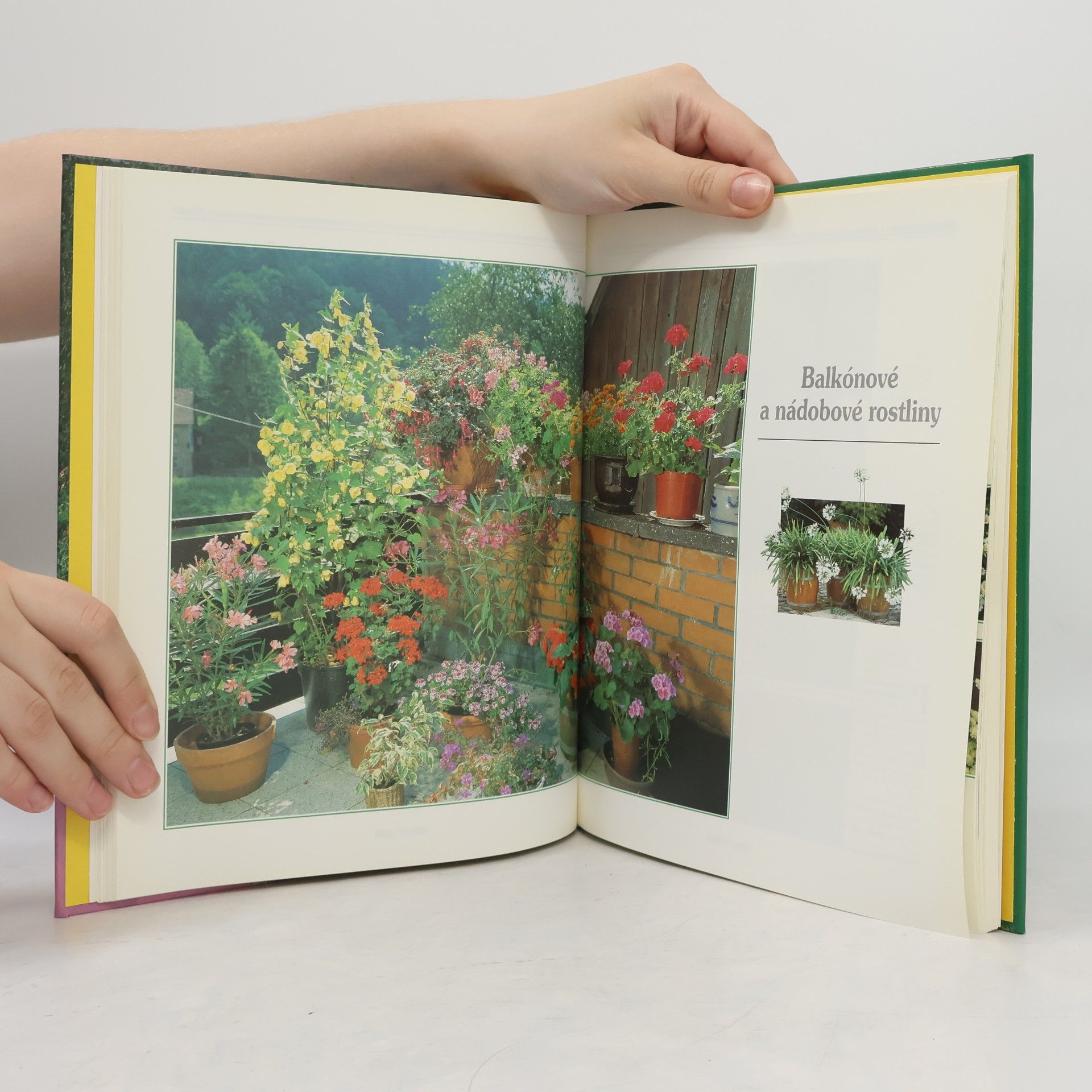 Helmut Jantra Malý zahradní ráj