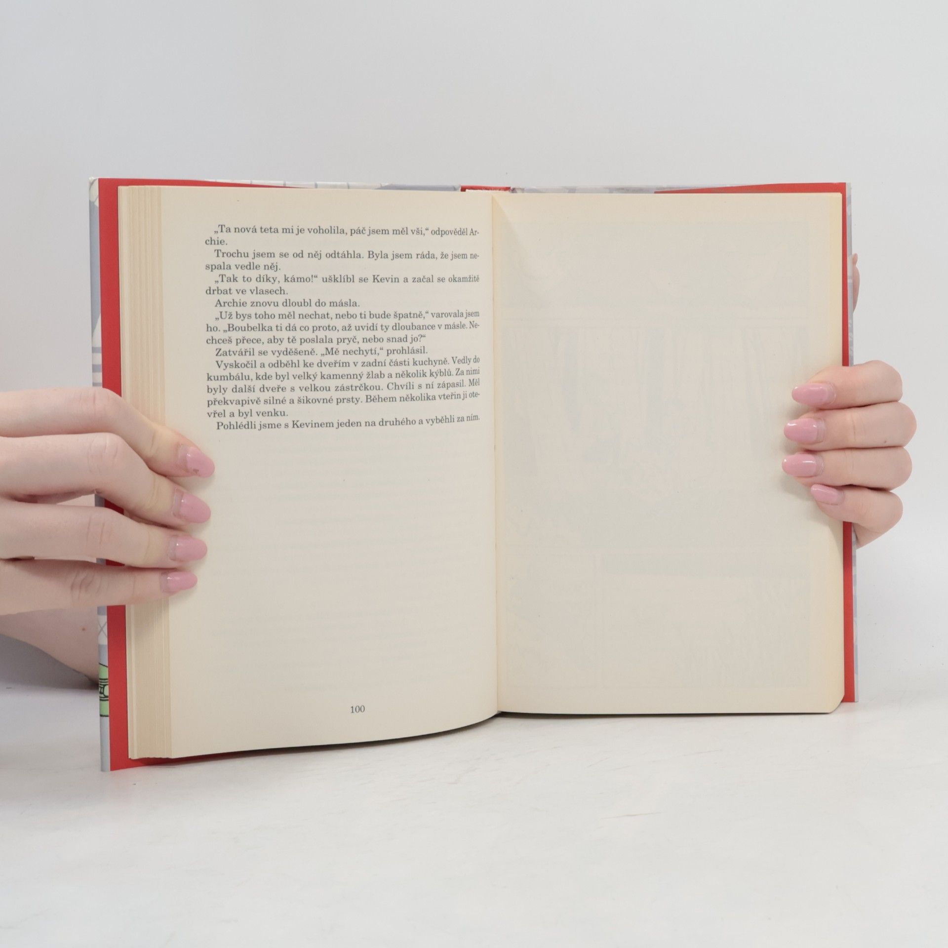 Jacqueline Wilson Nečekané prázdniny