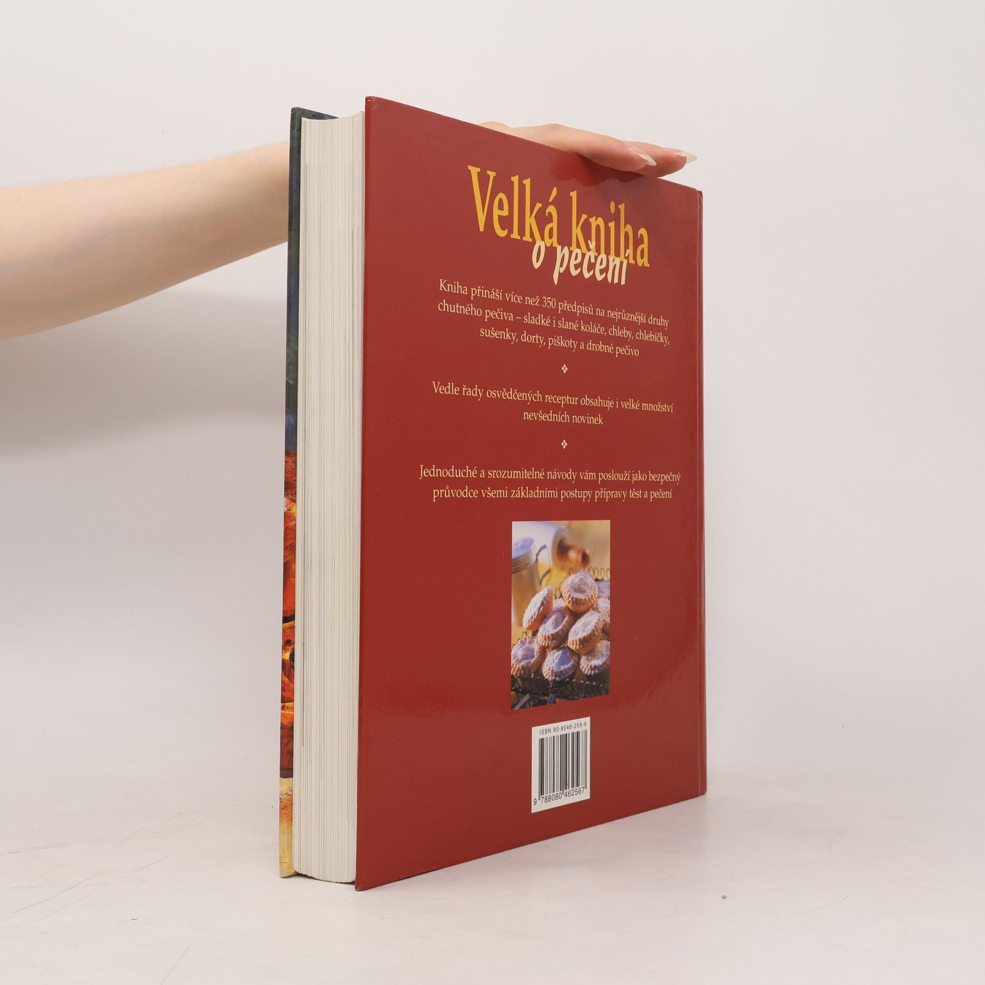 Deborah Gray Velká kniha o pečení