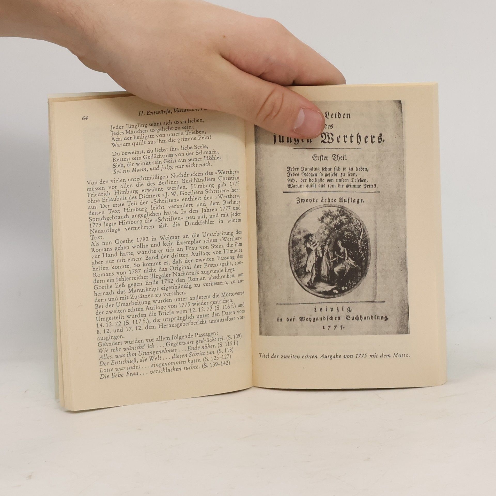 Kurt Rothmann Johann Wolfgang Goethe, Die Leiden des jungen Werthers