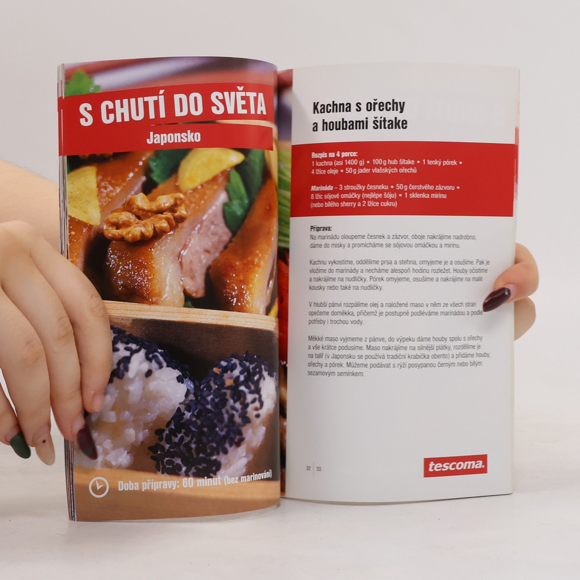 Collectif d'auteurs S chutí do světa