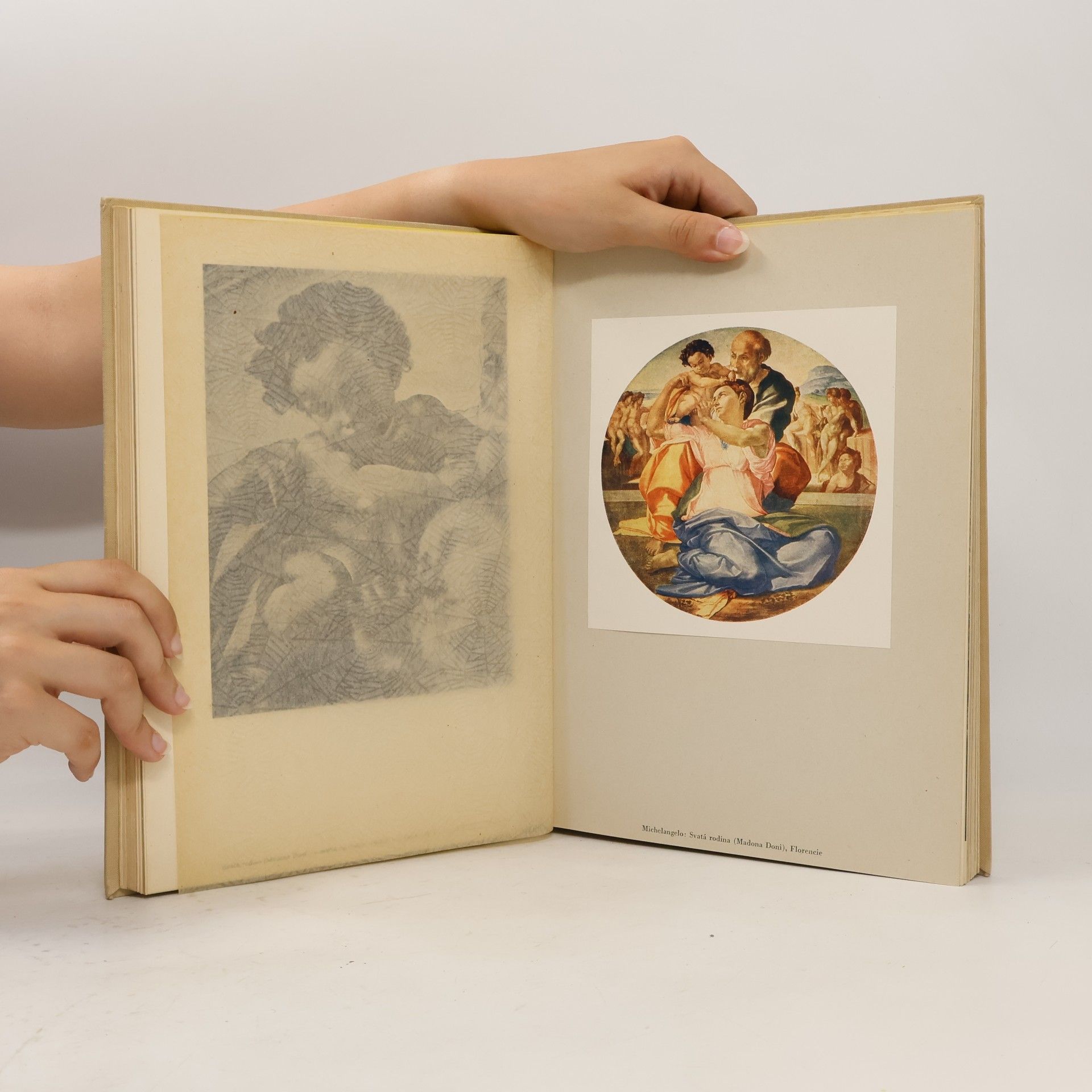 Romain Rolland Michelangelo Buonarroti