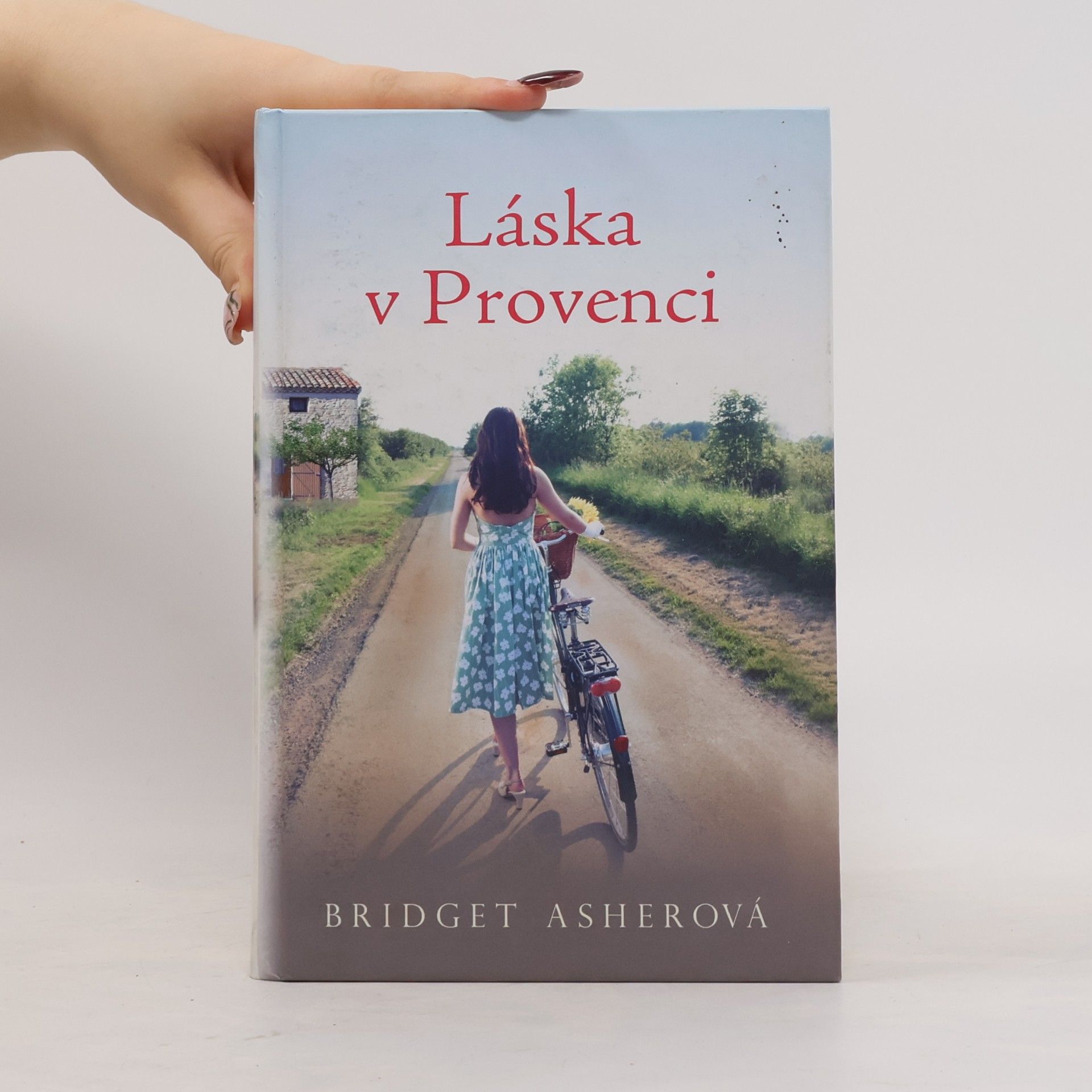 Bridget Asher Láska v Provenci