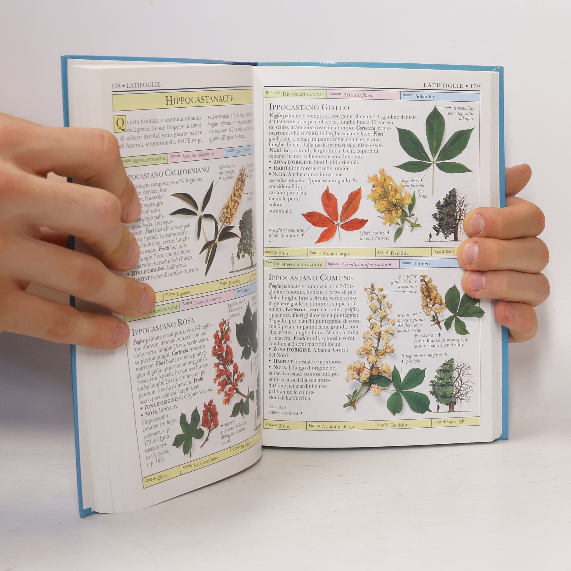 Kolektív autorov La biblioteca della Natura 1. Alberi