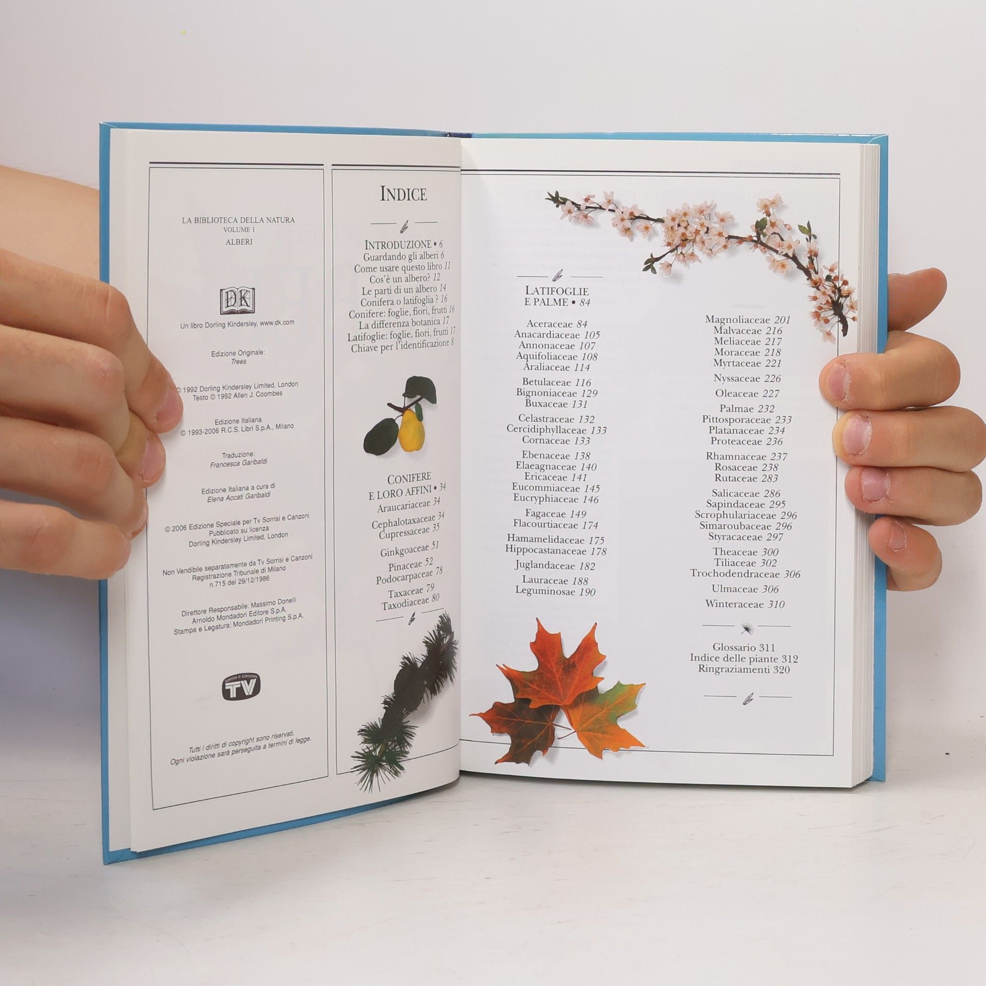 Kolektív autorov La biblioteca della Natura 1. Alberi