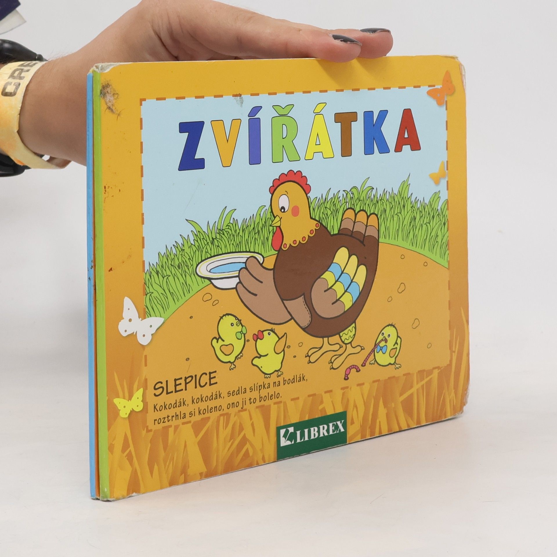 Autorenkollektiv Zvířátka