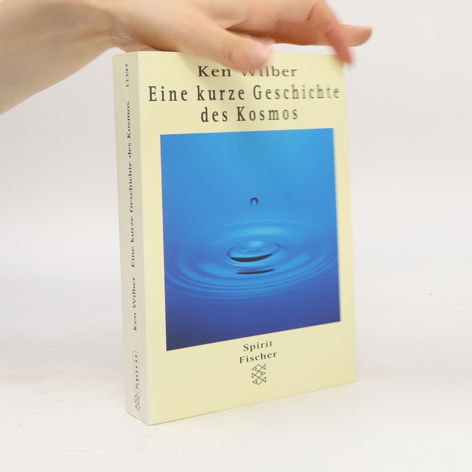 Ken Wilber Eine kurze Geschichte des Kosmos