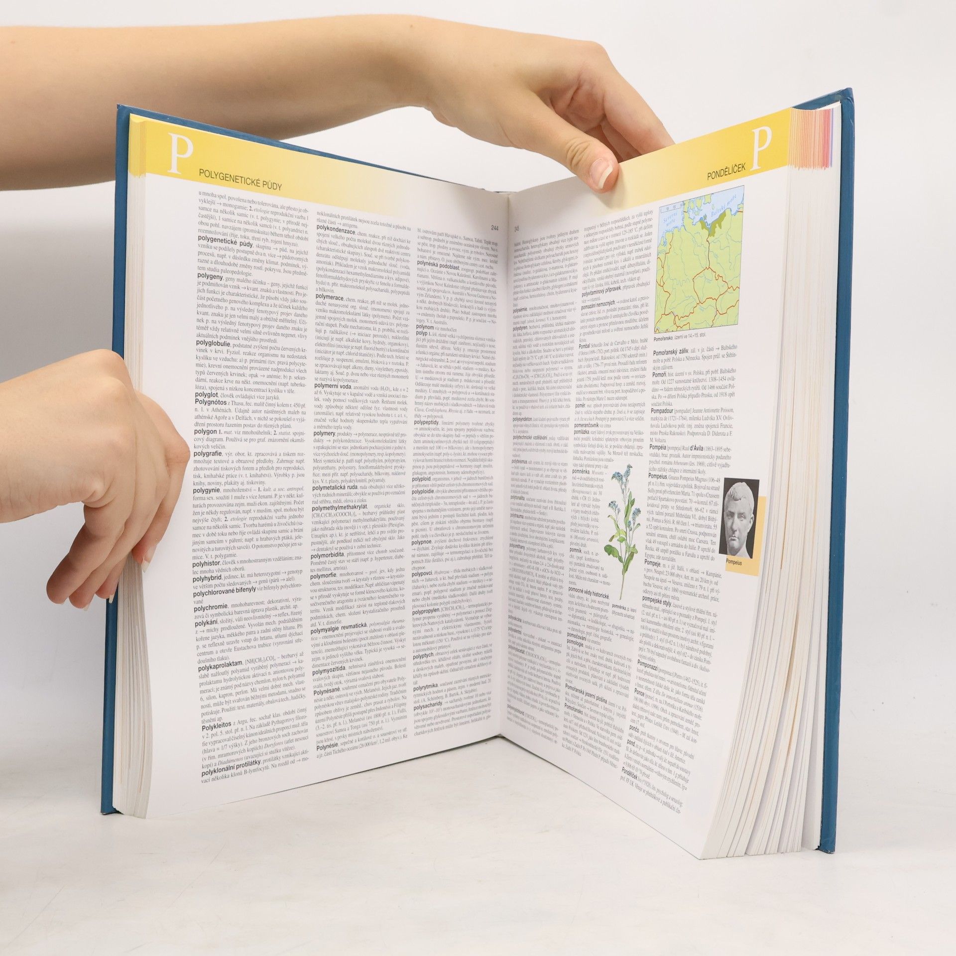Autorenkollektiv Ottova všeobecná encyklopedie ve dvou svazcích 2. M-Ž