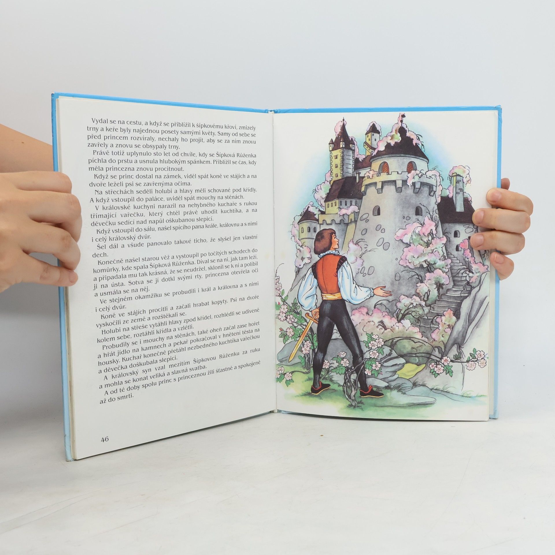 Jacob Grimm Kdysi dávno, pradávno. Pohádky bratří Grimmů