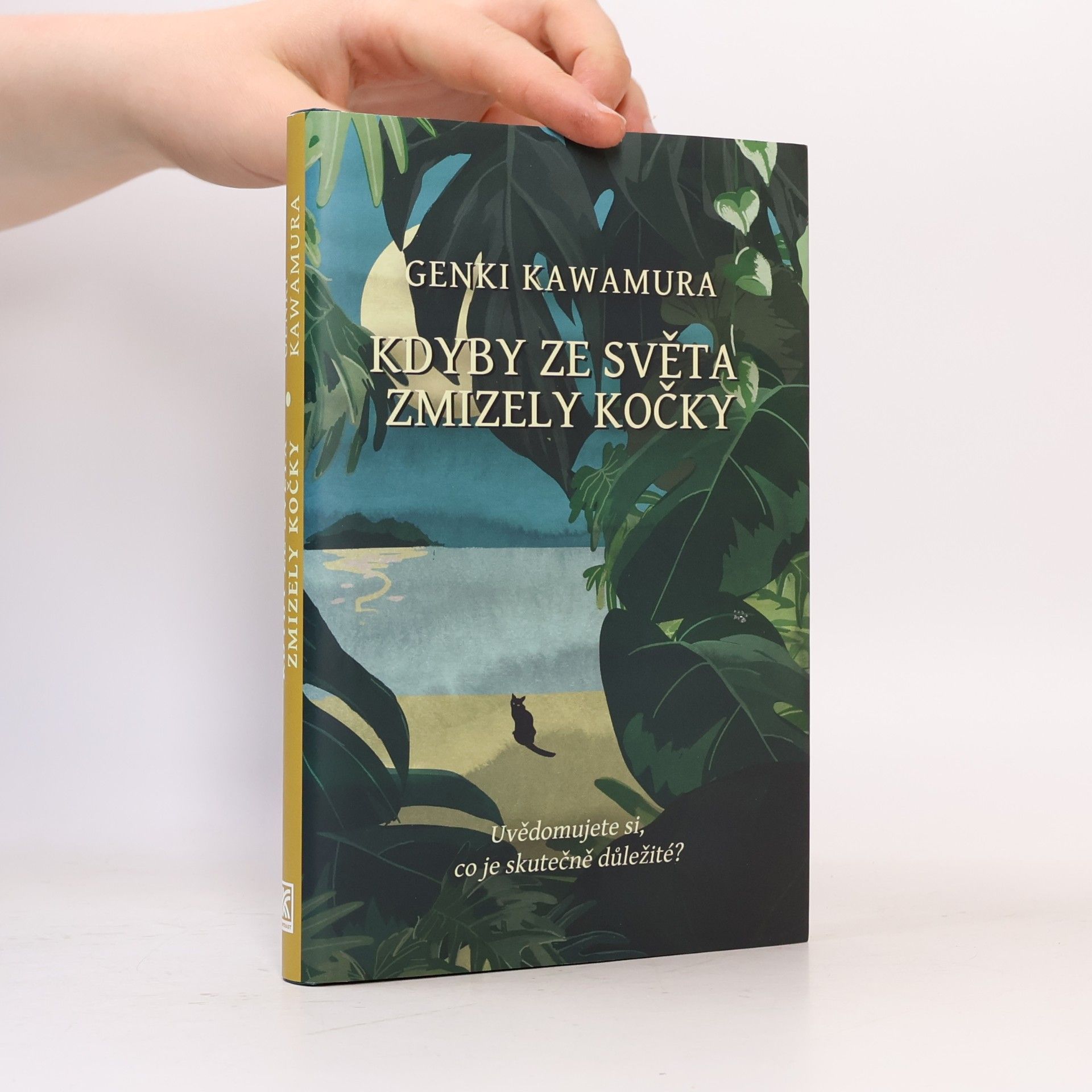 Genki Kawamura Kdyby ze světa zmizely kočky