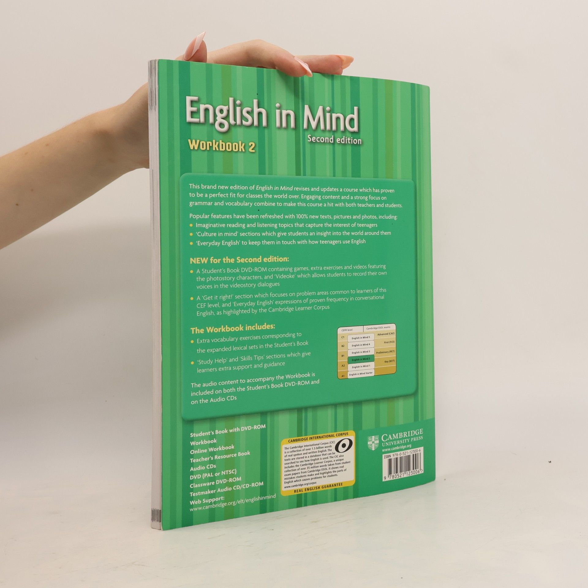 Herbert Puchta English in Mind 2e 2: Workbook