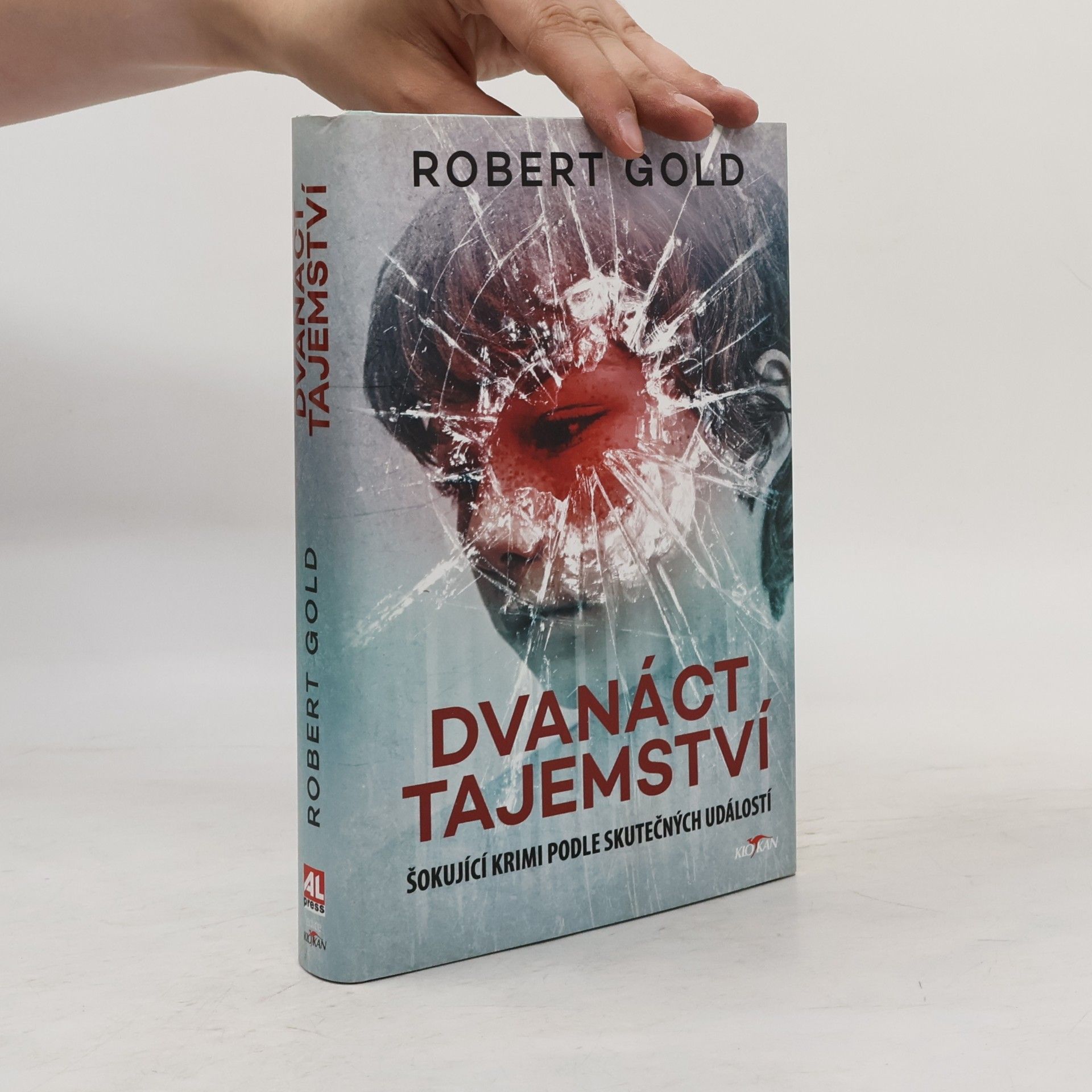 Robert Gold Dvanáct tajemství