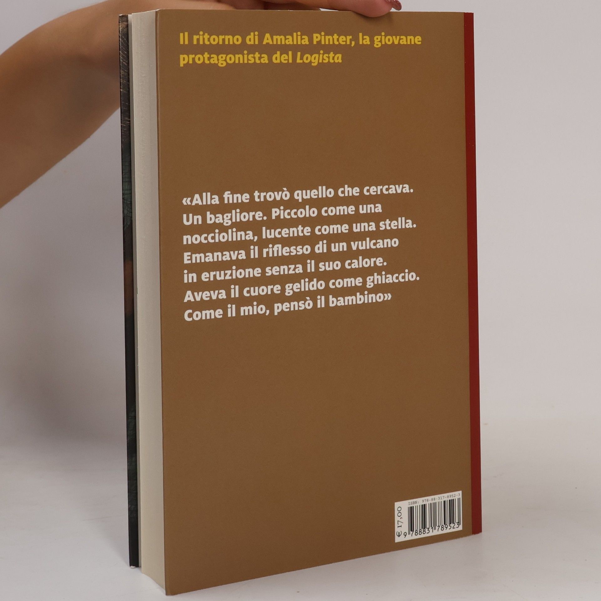 Federica Fantozzi Farfalle: Il meticcio