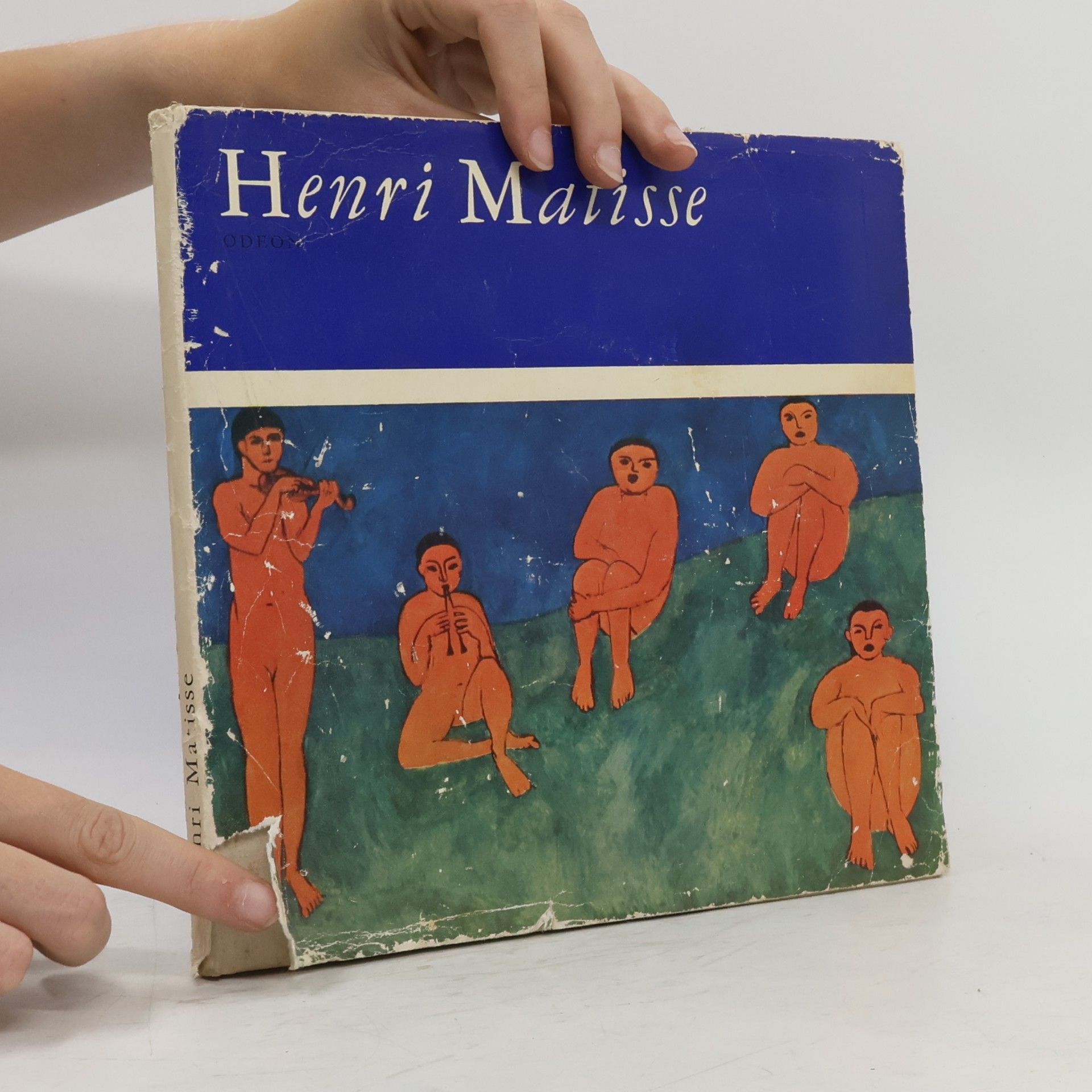 Vlastimil Fiala Henri Matisse