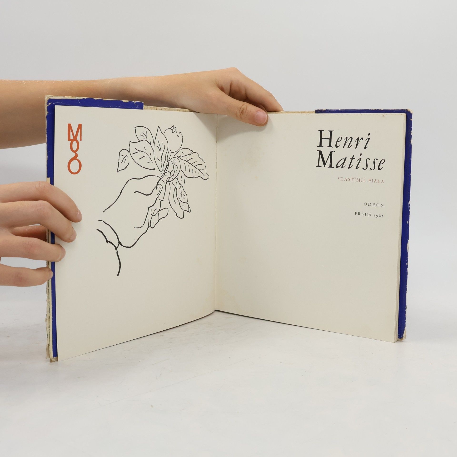 Vlastimil Fiala Henri Matisse