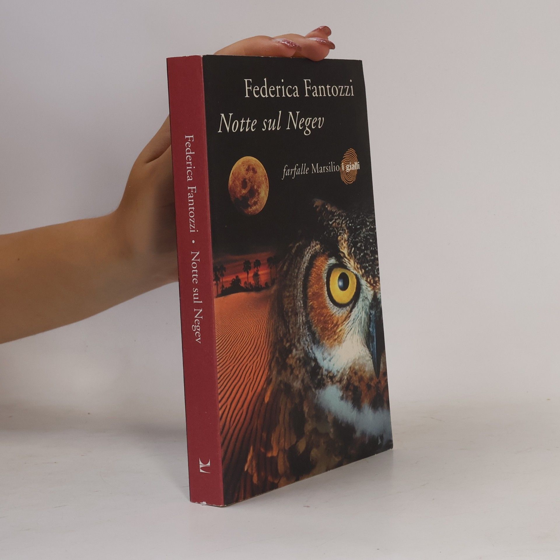 Federica Fantozzi Farfalle: Notte sul Negev