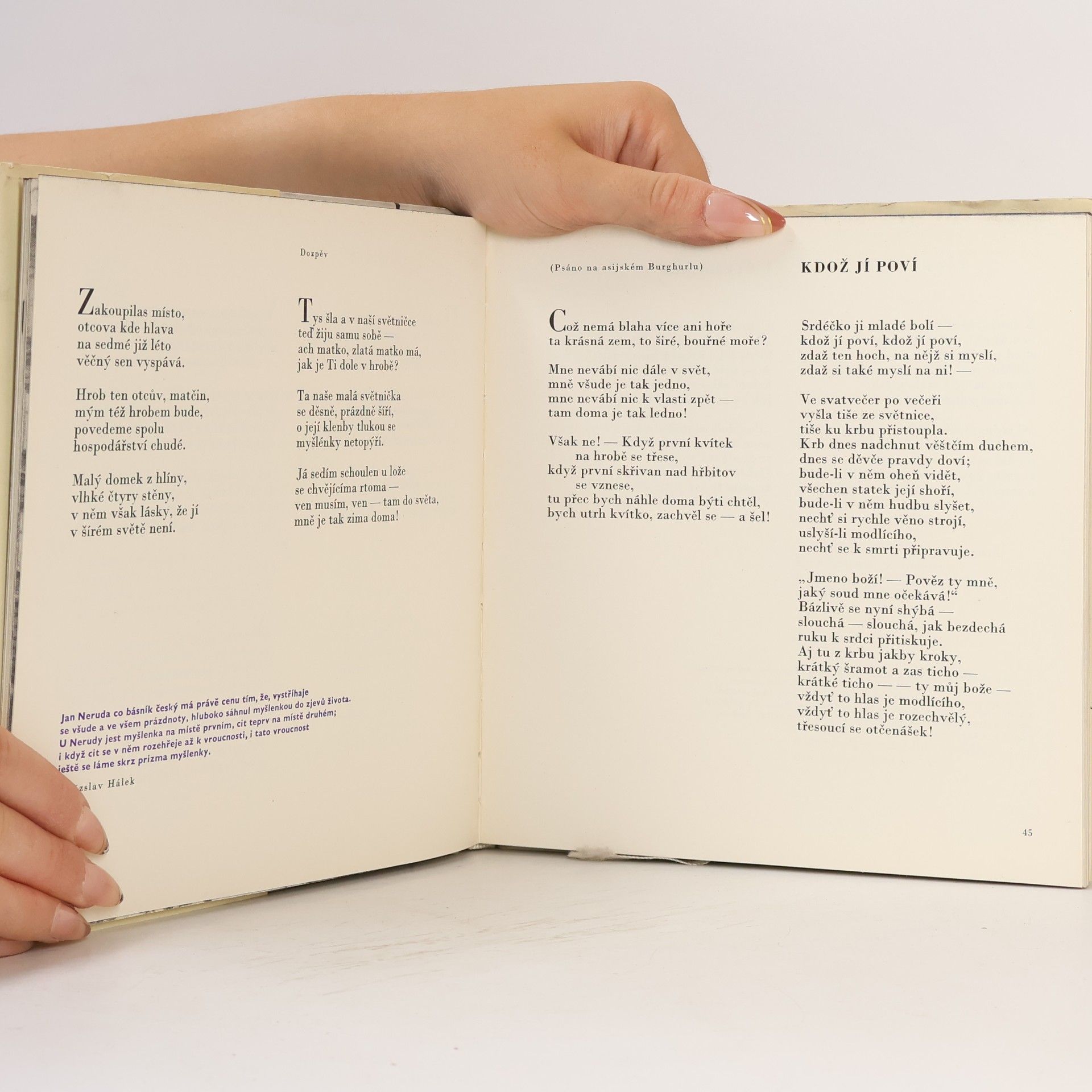 Jan Neruda Vším jsem byl rád!