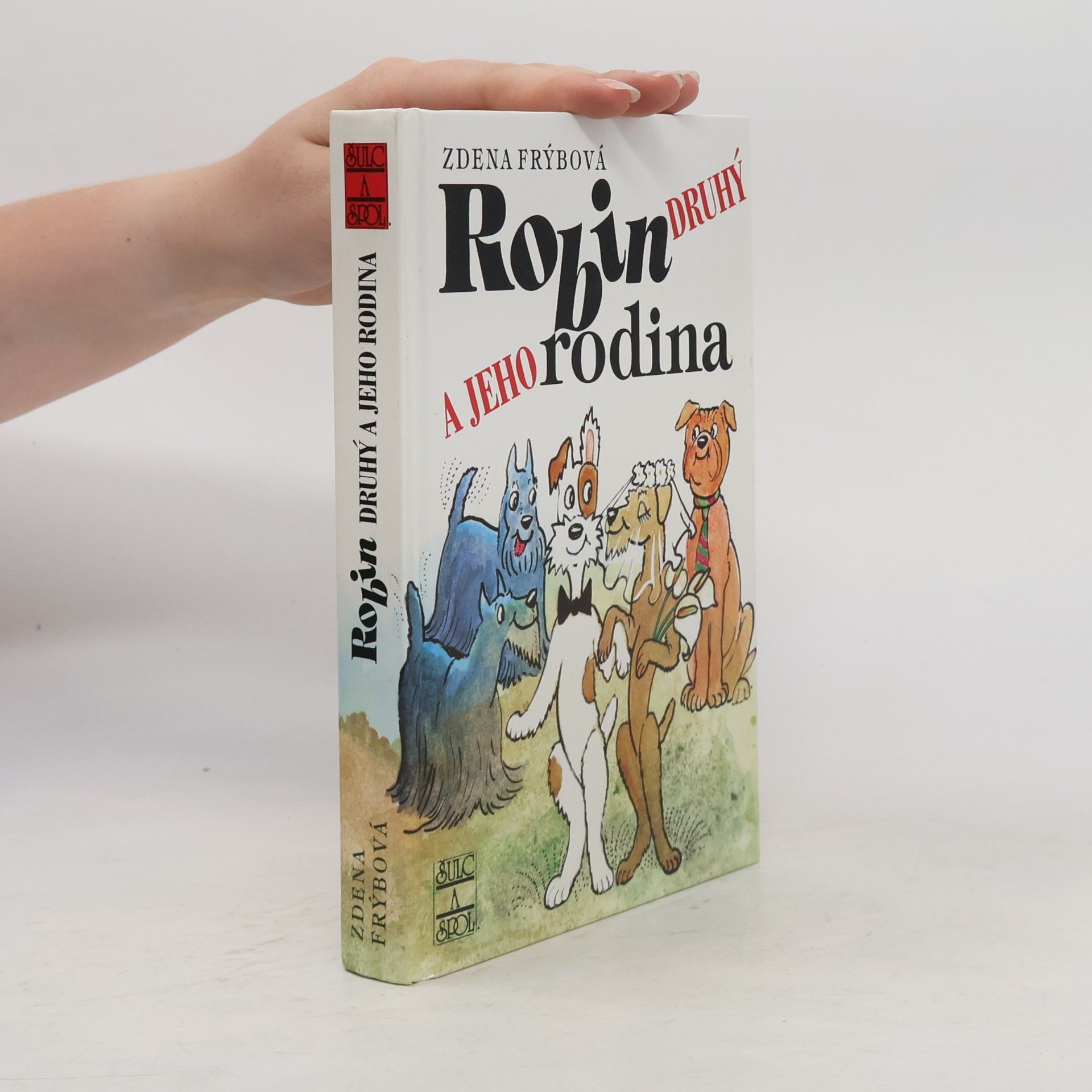Robin Druhý a jeho rodina