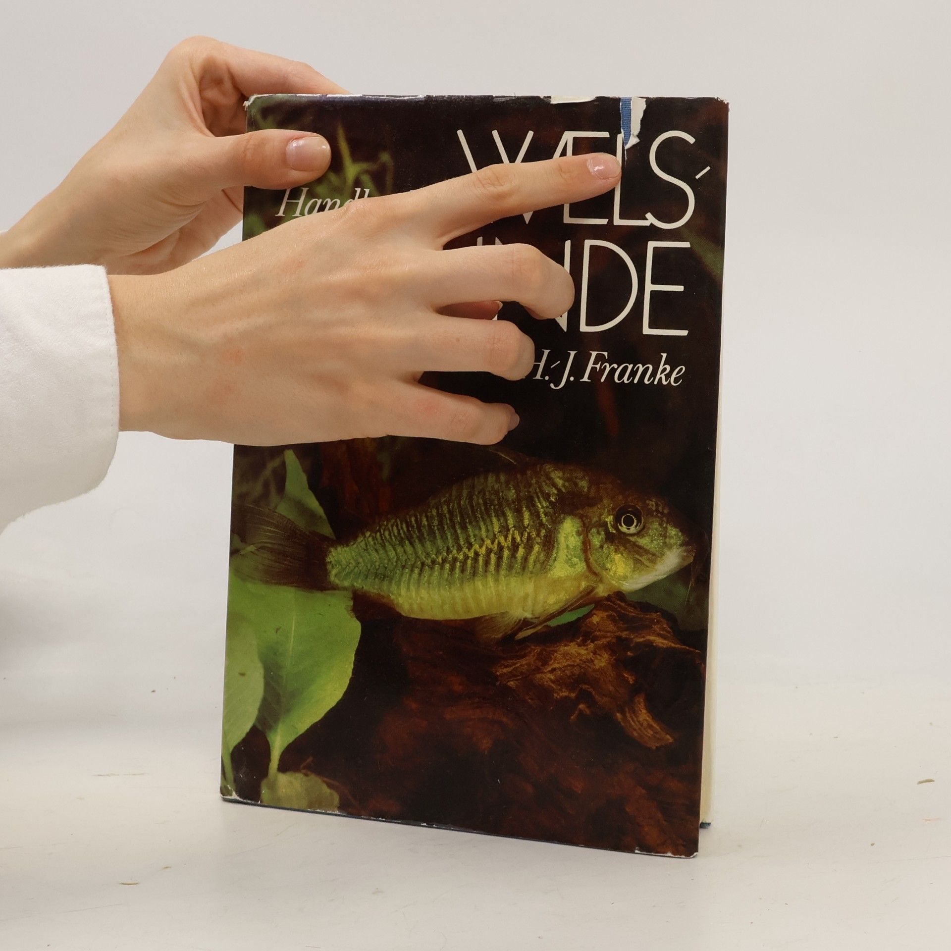 Hanns-Joachim Franke Handbuch der Welskunde