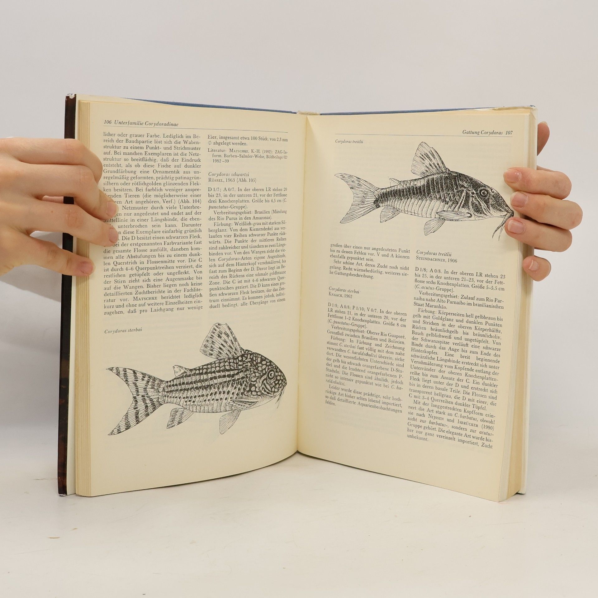 Hanns-Joachim Franke Handbuch der Welskunde