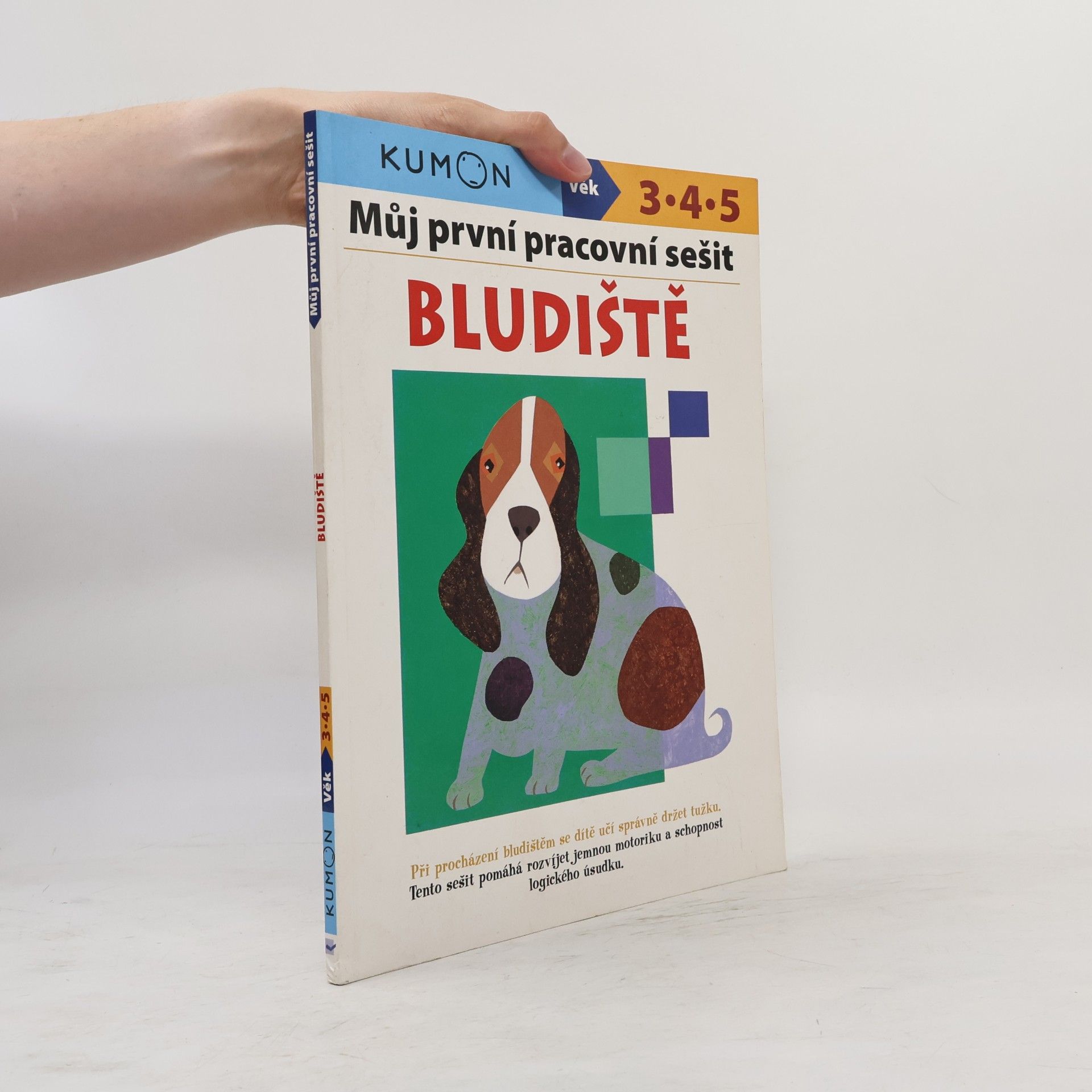 Toshihiko Karakida Bludiště - Můj pracovní sešit