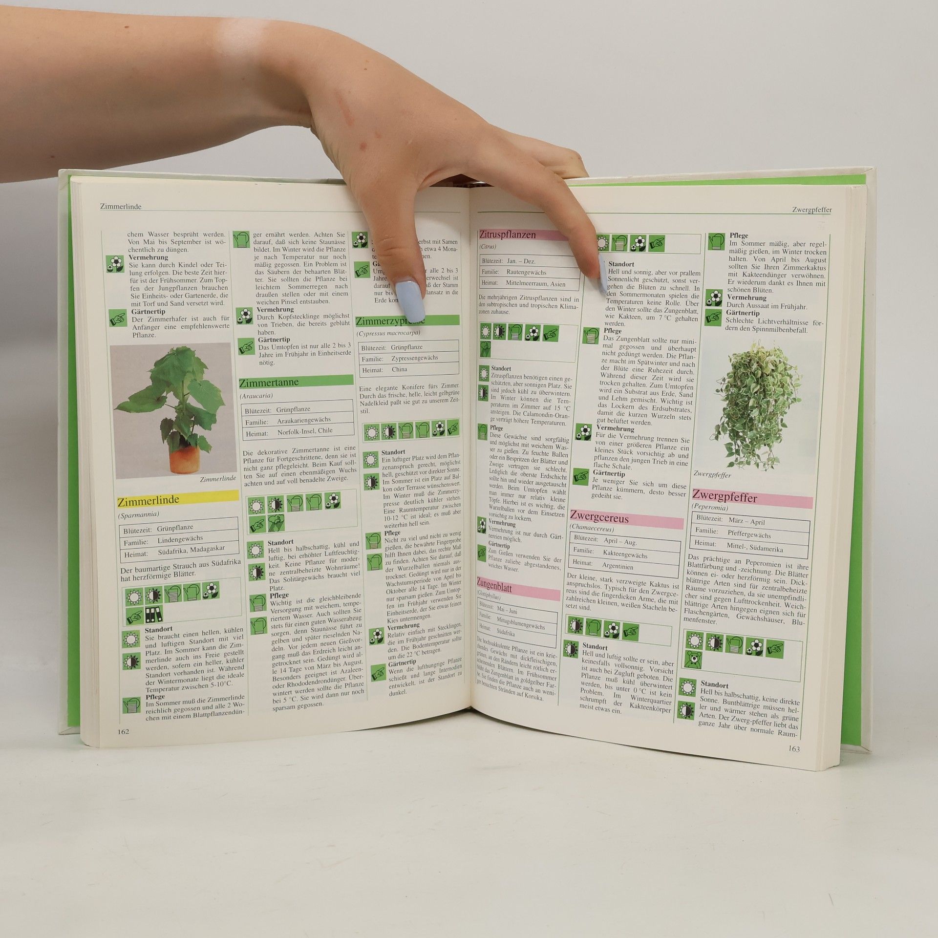 Autorenkollektiv Das große Buch der Pflanzenkunde