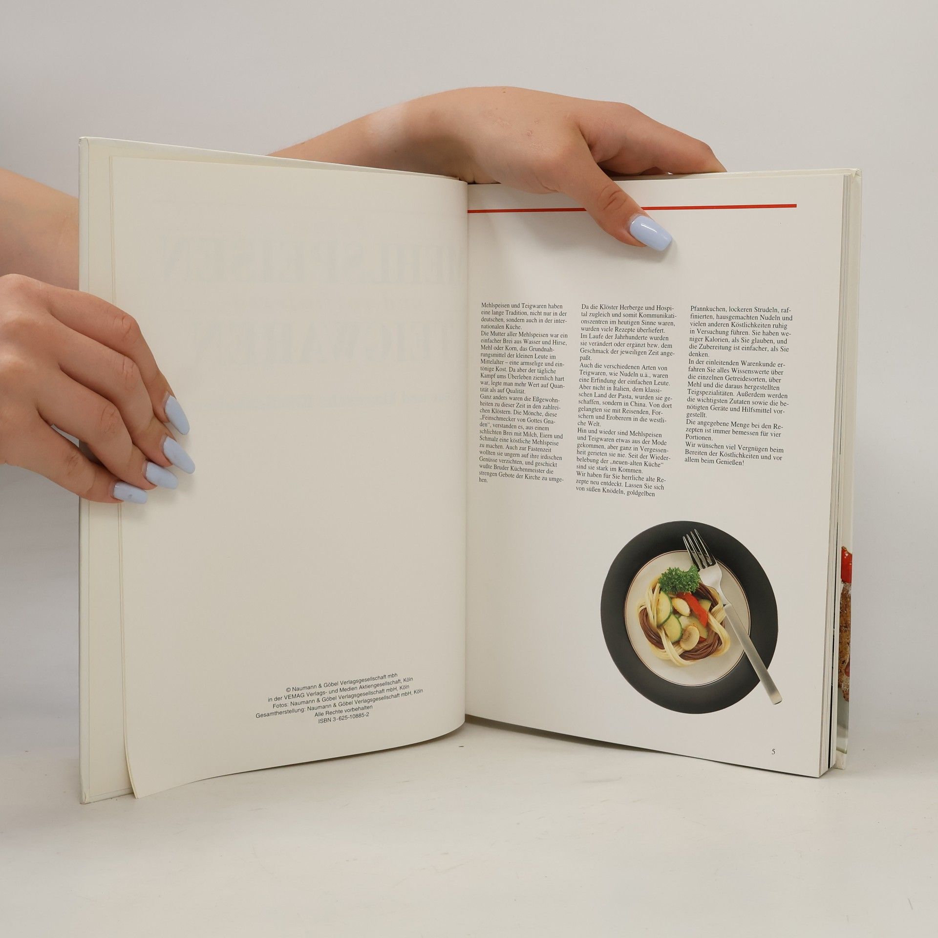 Kolektiv autorů Grosses Buch der Mehlspeisen und Teigwaren