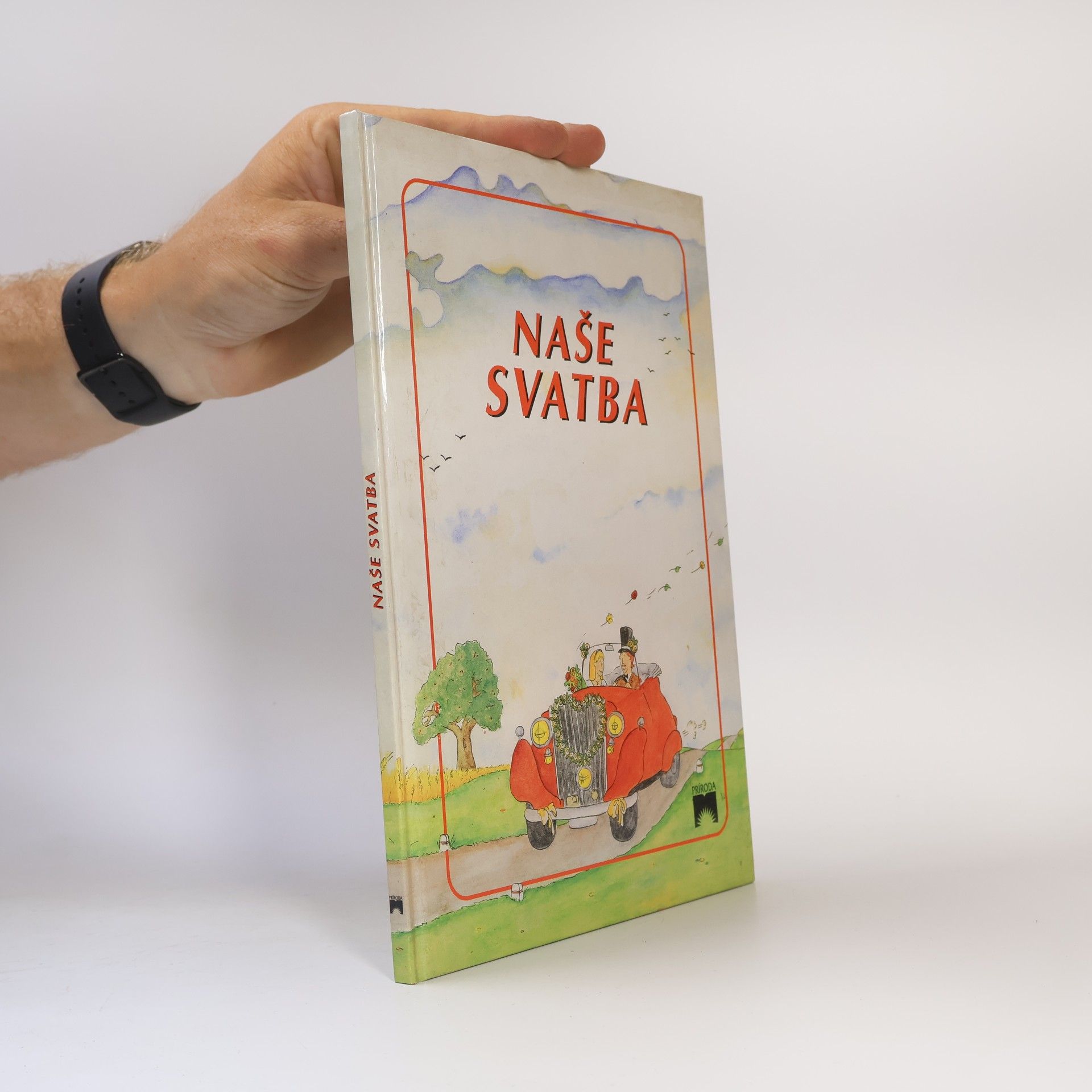 Collectif d'auteurs Naše svatba