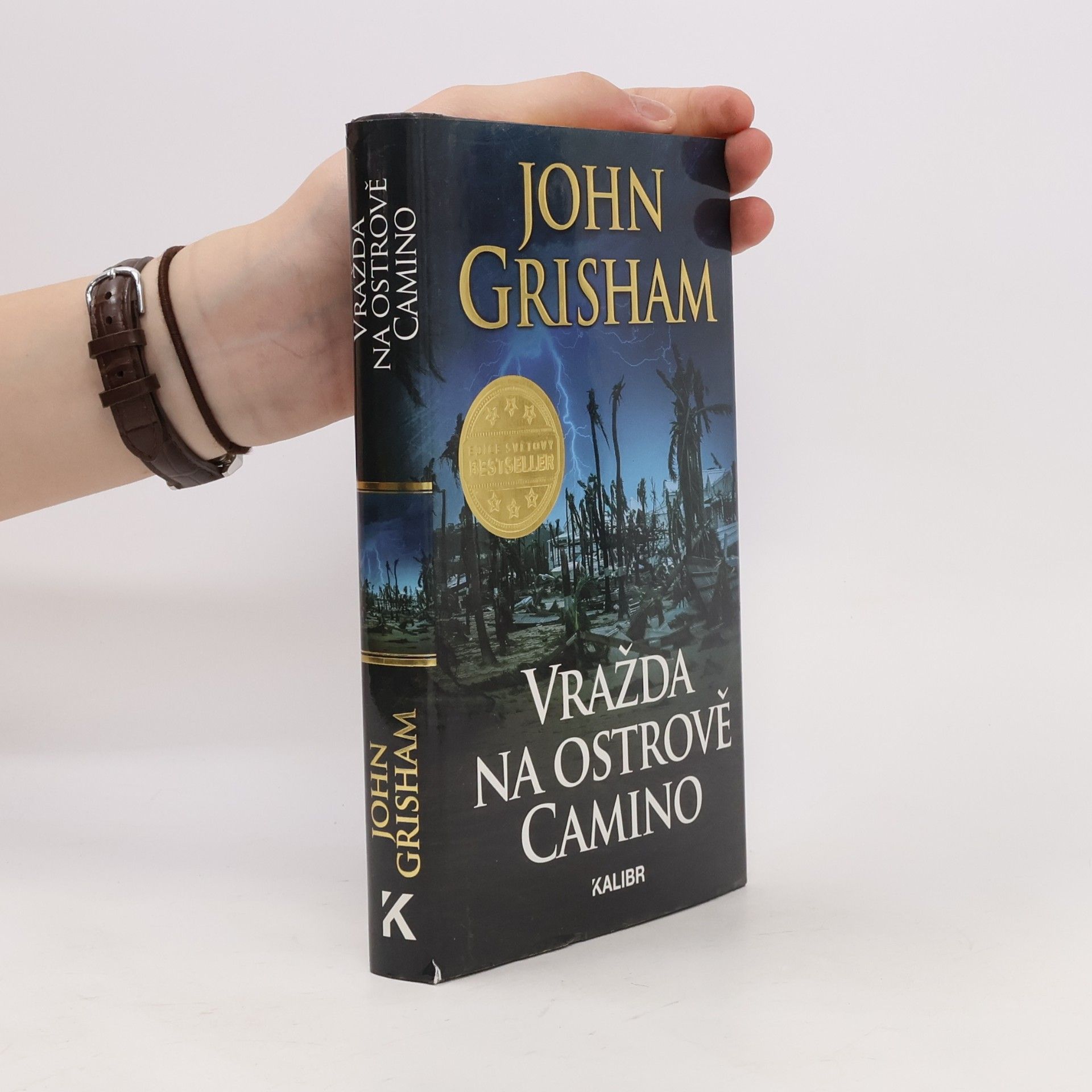 John Grisham Vražda na ostrově Camino