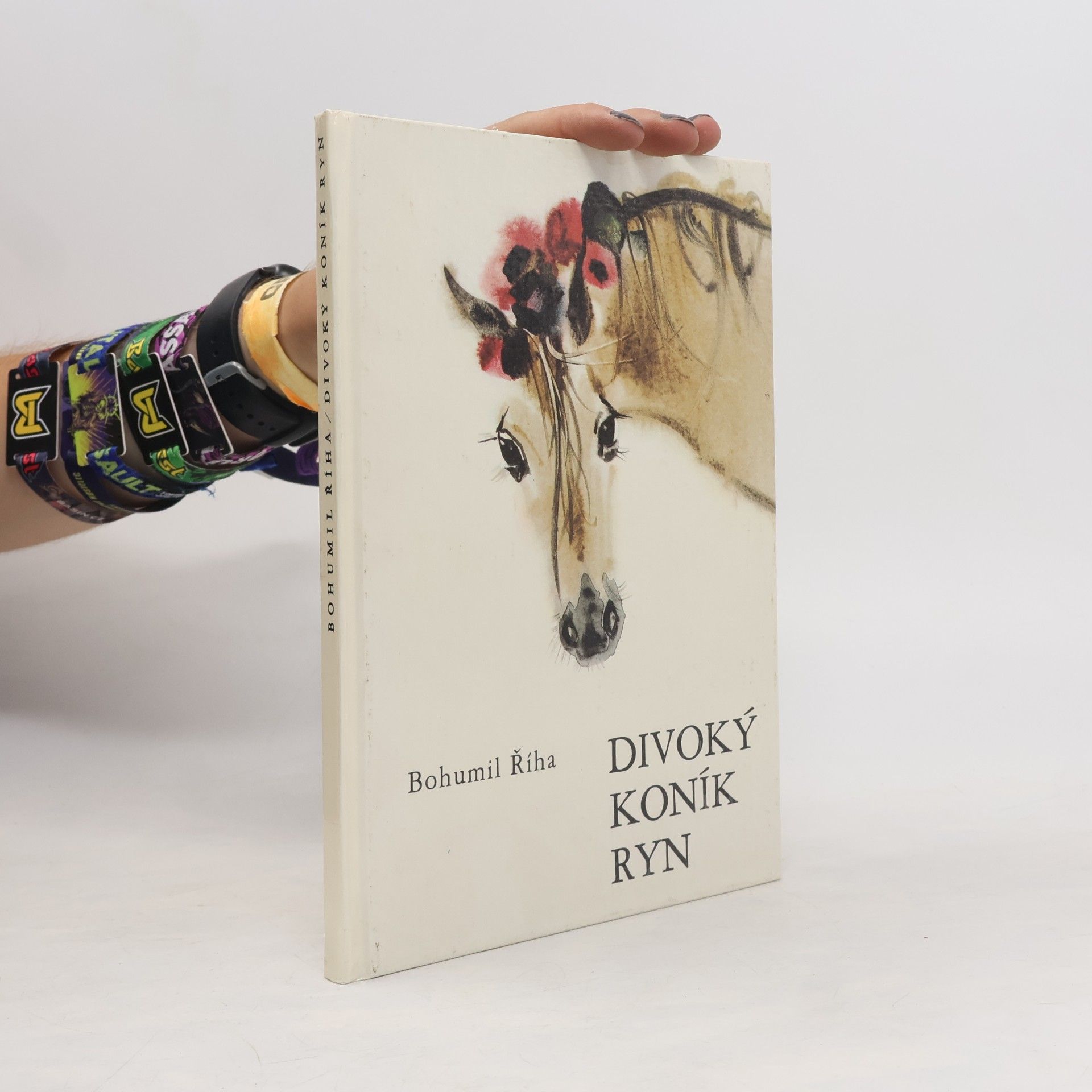 Bohumil Říha Divoký koník Ryn