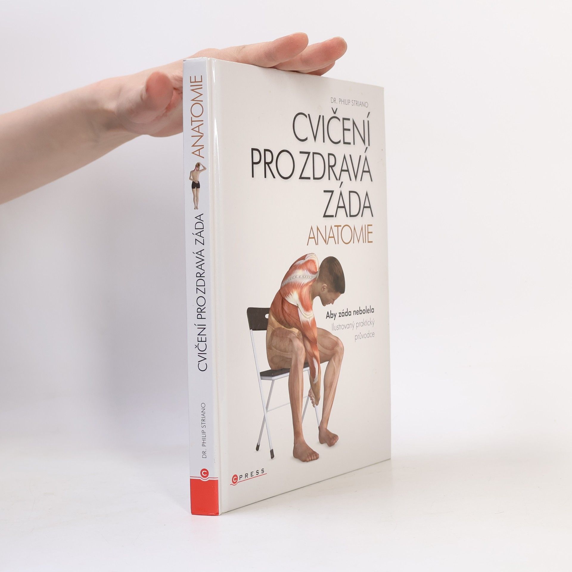 Philip Striano Cvičení pro zdravá záda - anatomie