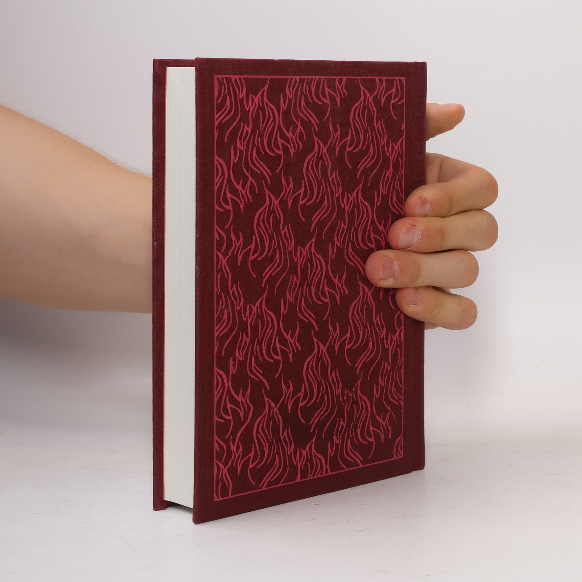 Homér The Iliad. Ilias, englische Ausgabe