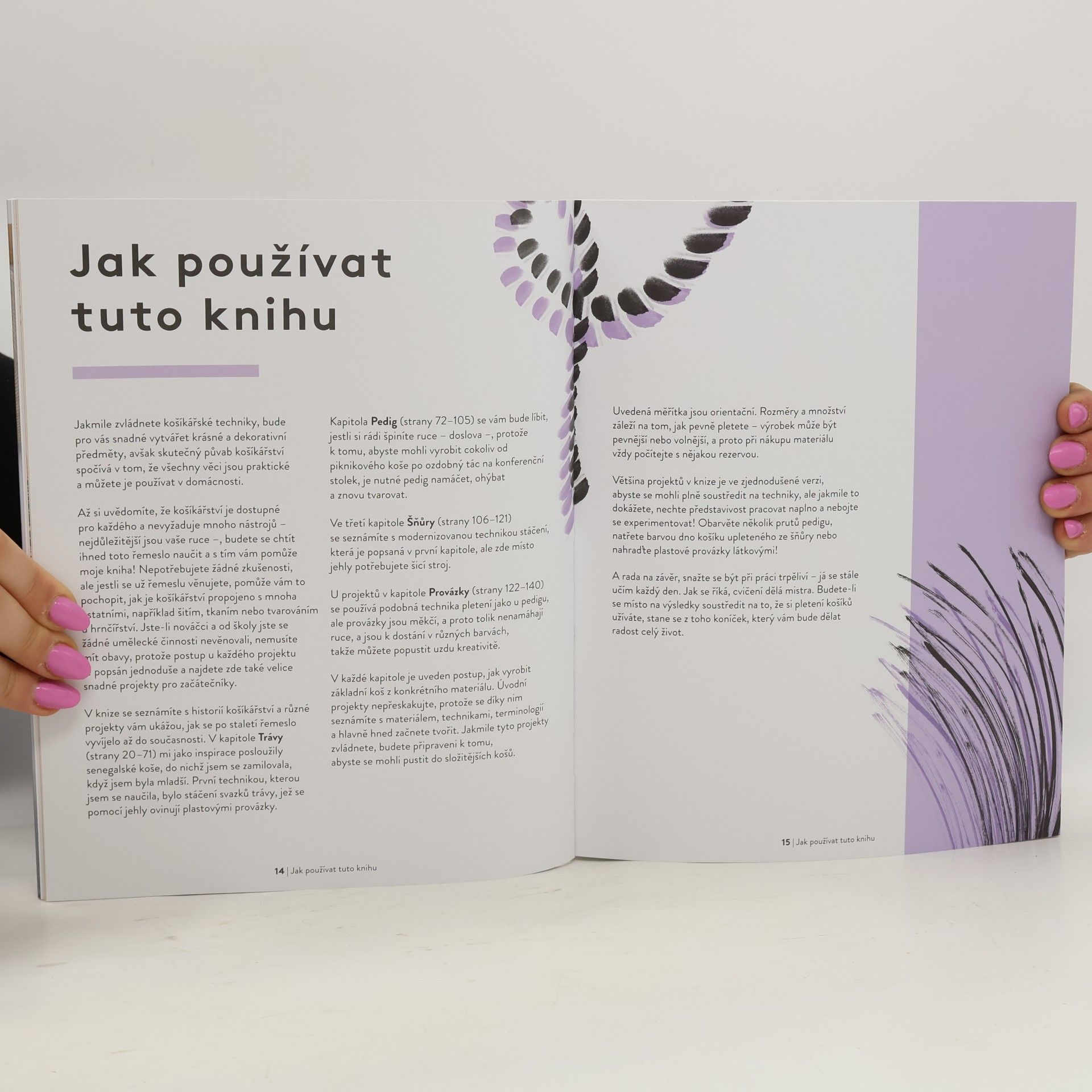Tabara N. Diaye Pletení stylových košů : praktický průvodce různými technikami pletení (nejen) košů