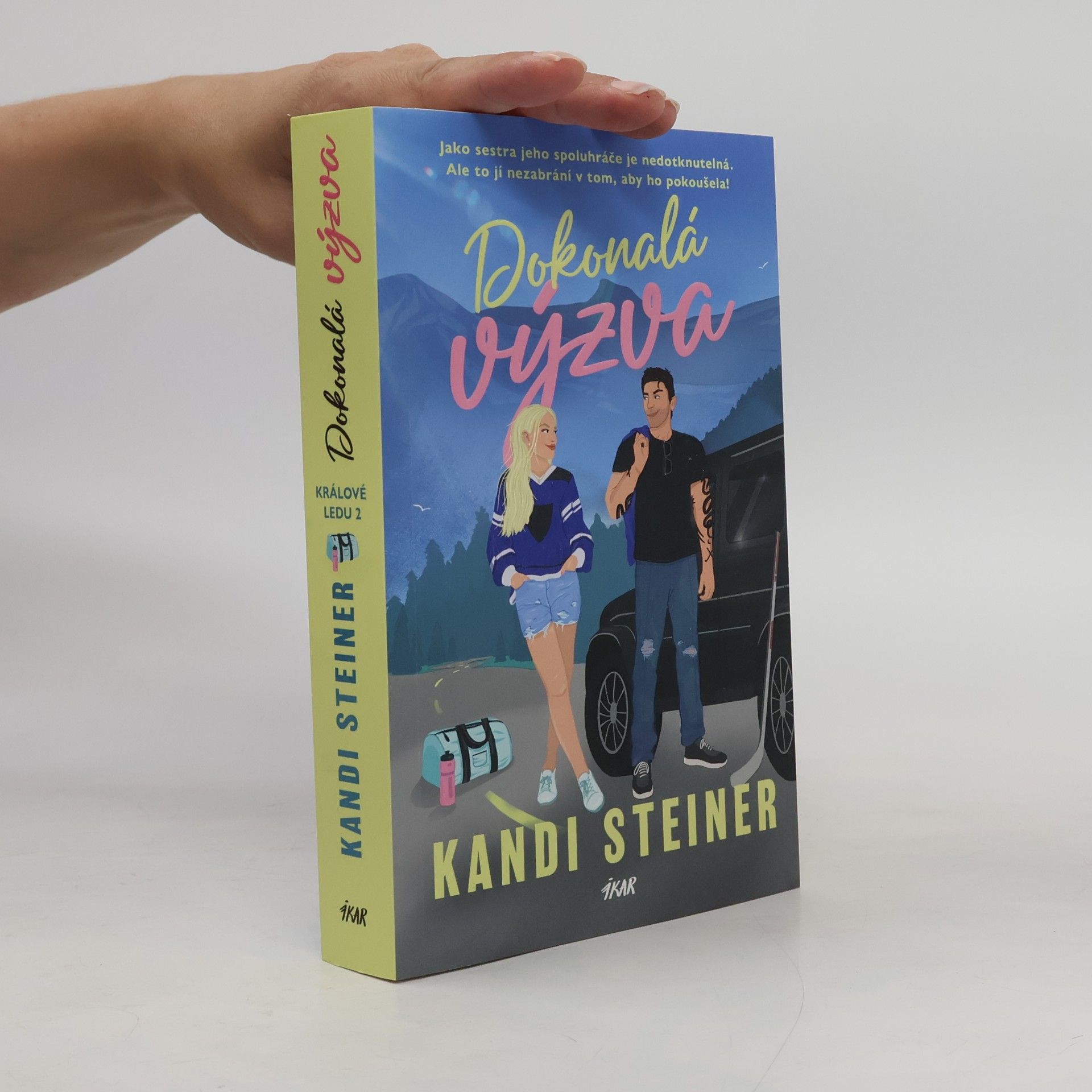 Kandi Steiner Dokonalá výzva