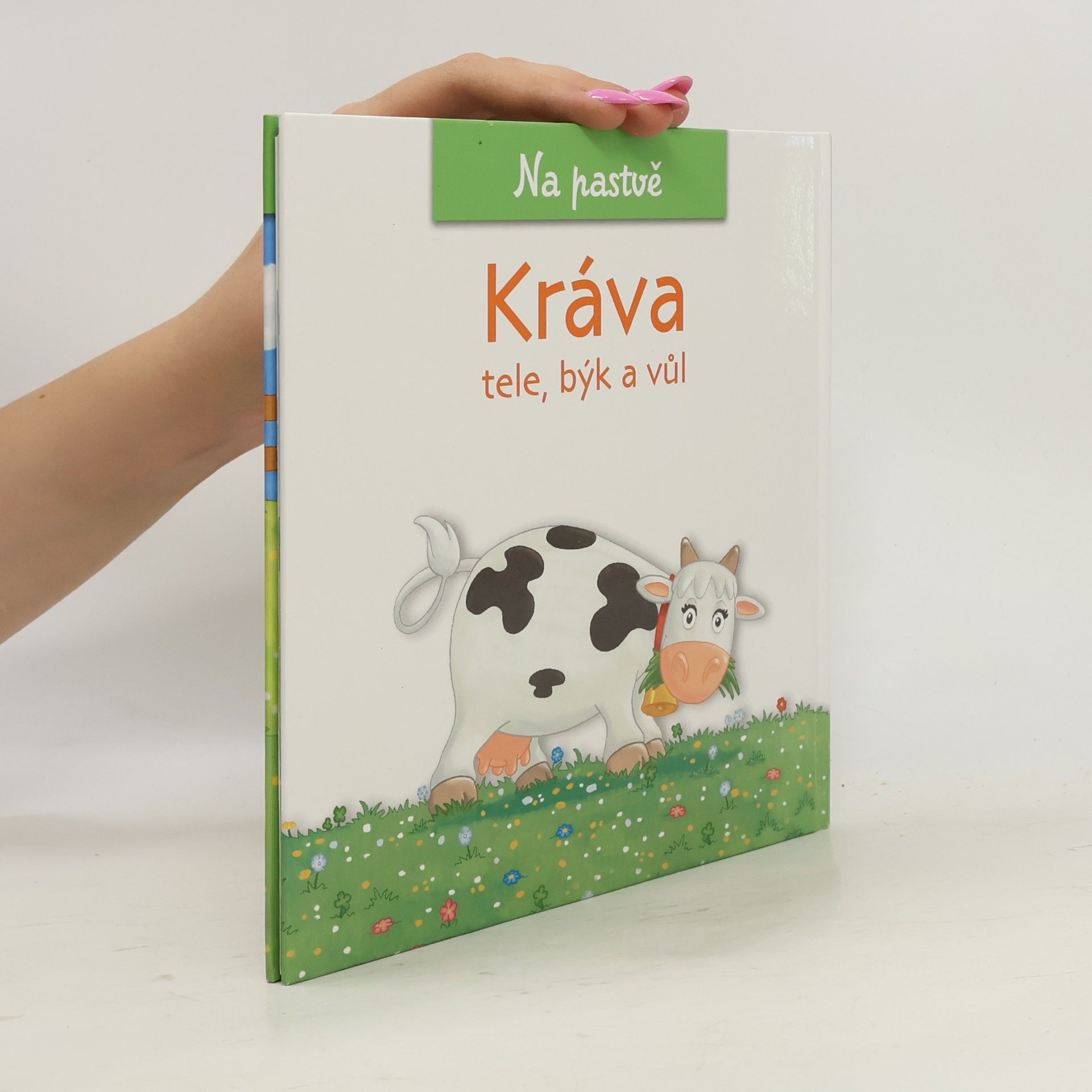 Christine Serbource Kráva, tele, býk a vůl
