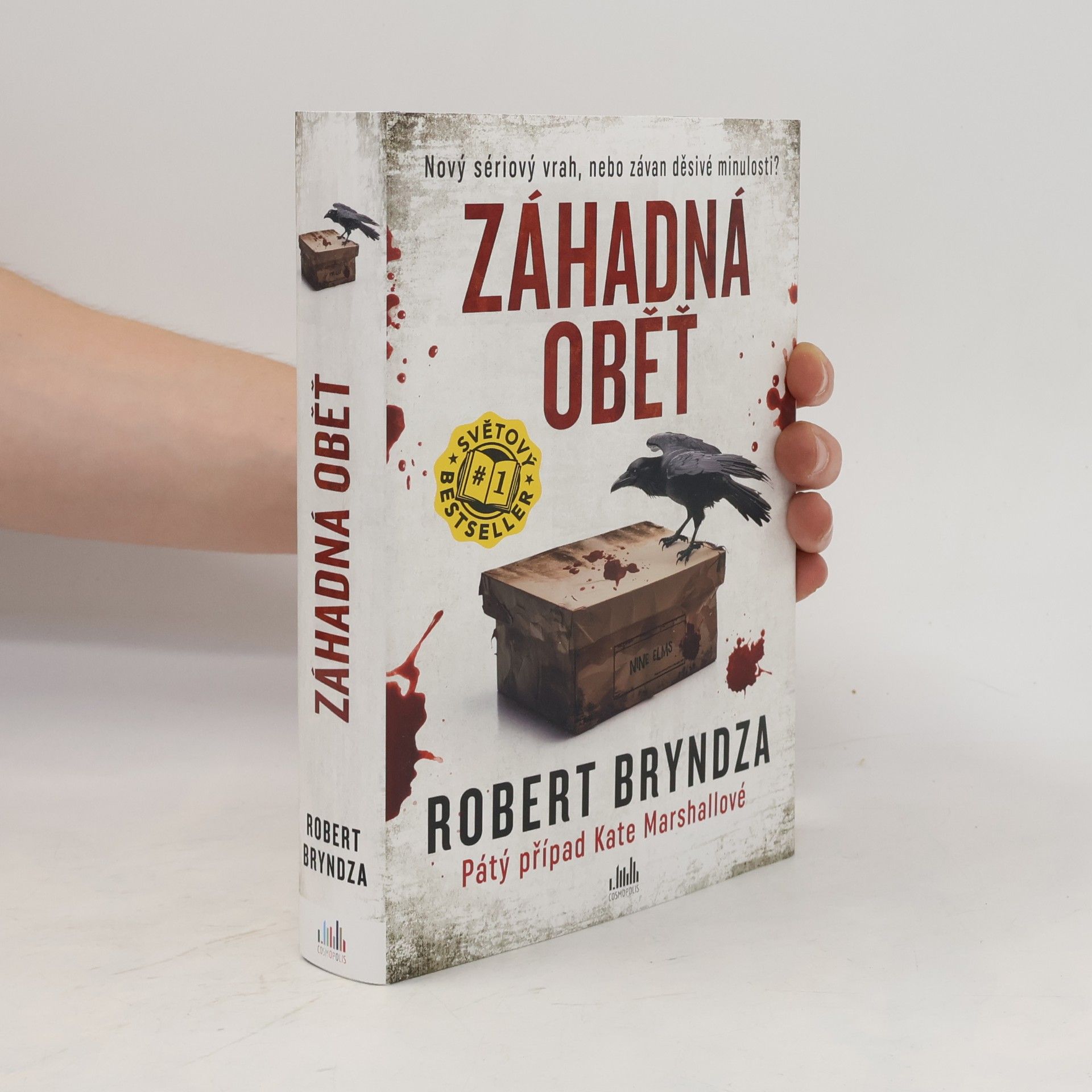Robert Bryndza Záhadná oběť