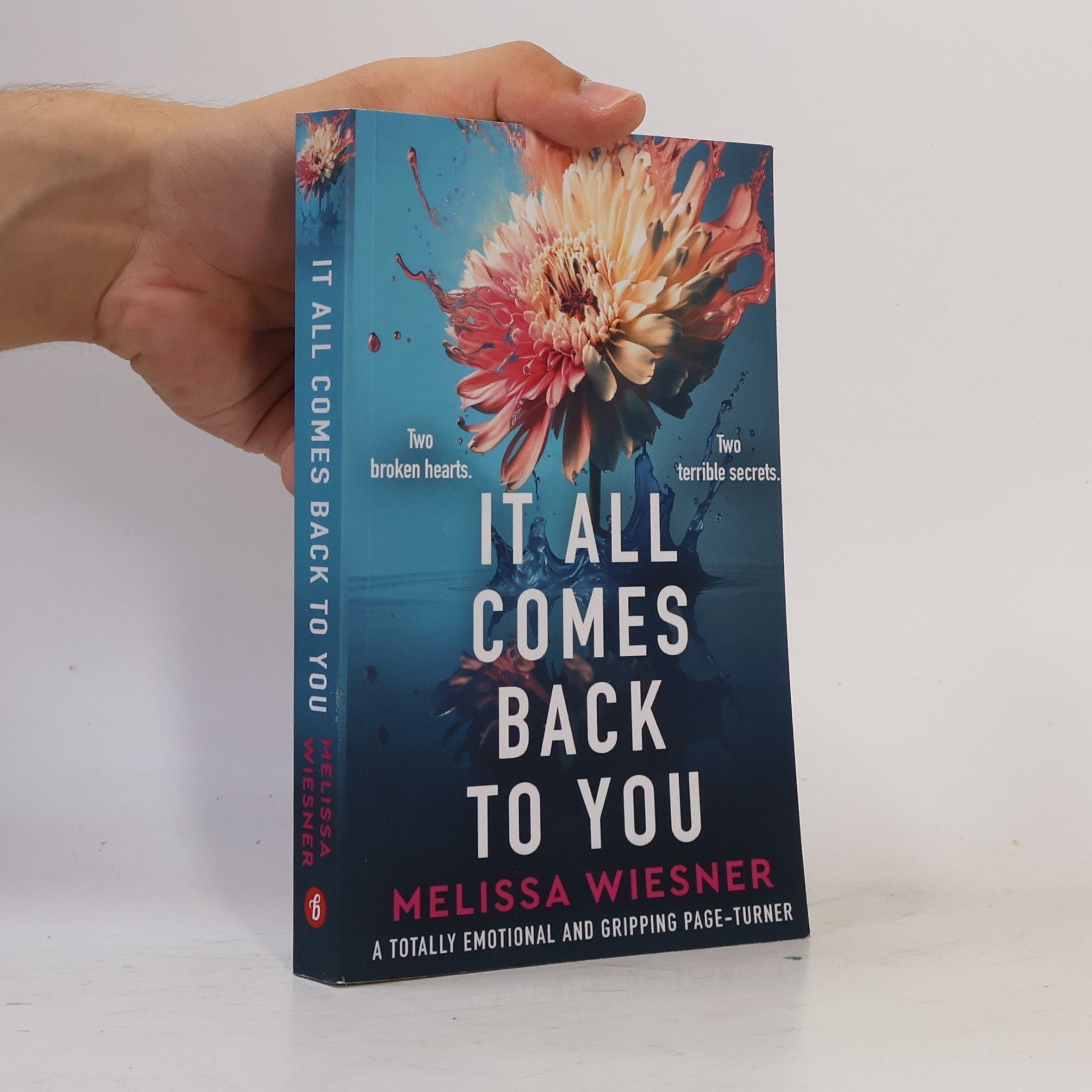 Melissa Wiesner It All Comes Back to You