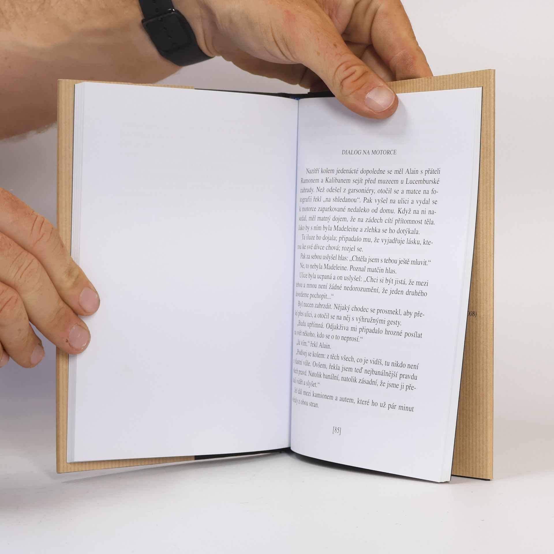 Milan Kundera Slavnost bezvýznamnosti