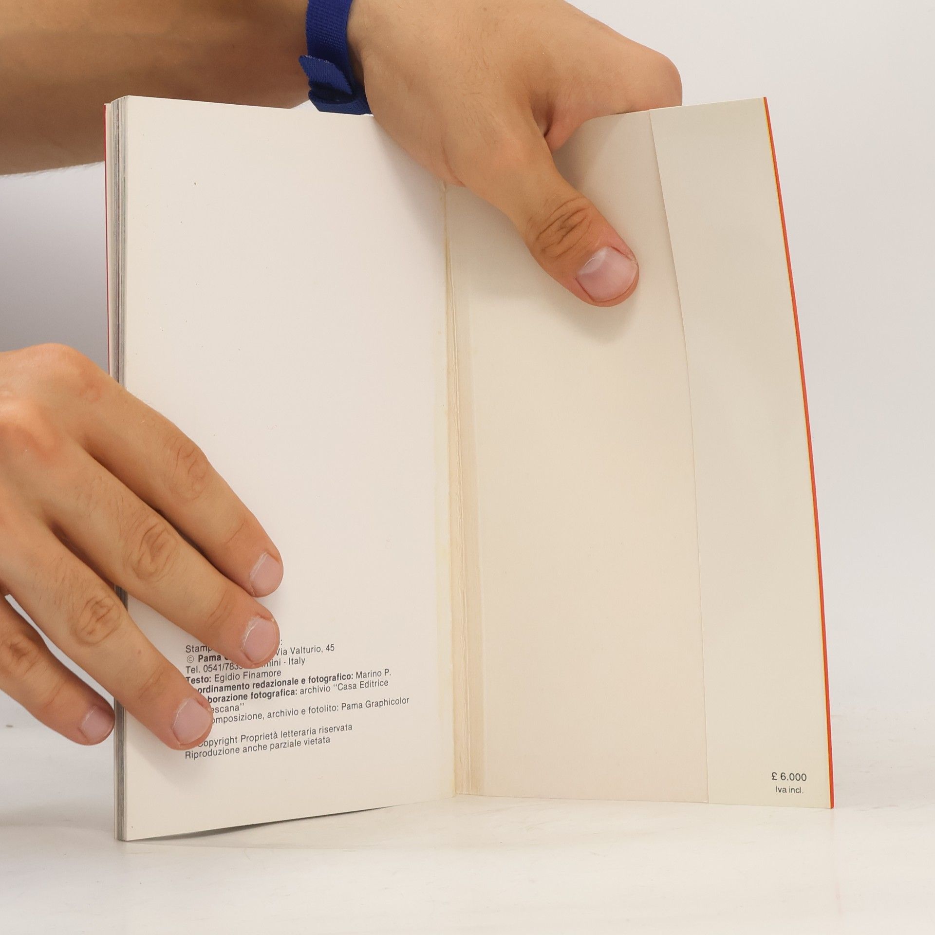 Autorenkollektiv Assisi. Nuova guida artistica. Illustrata con pianta