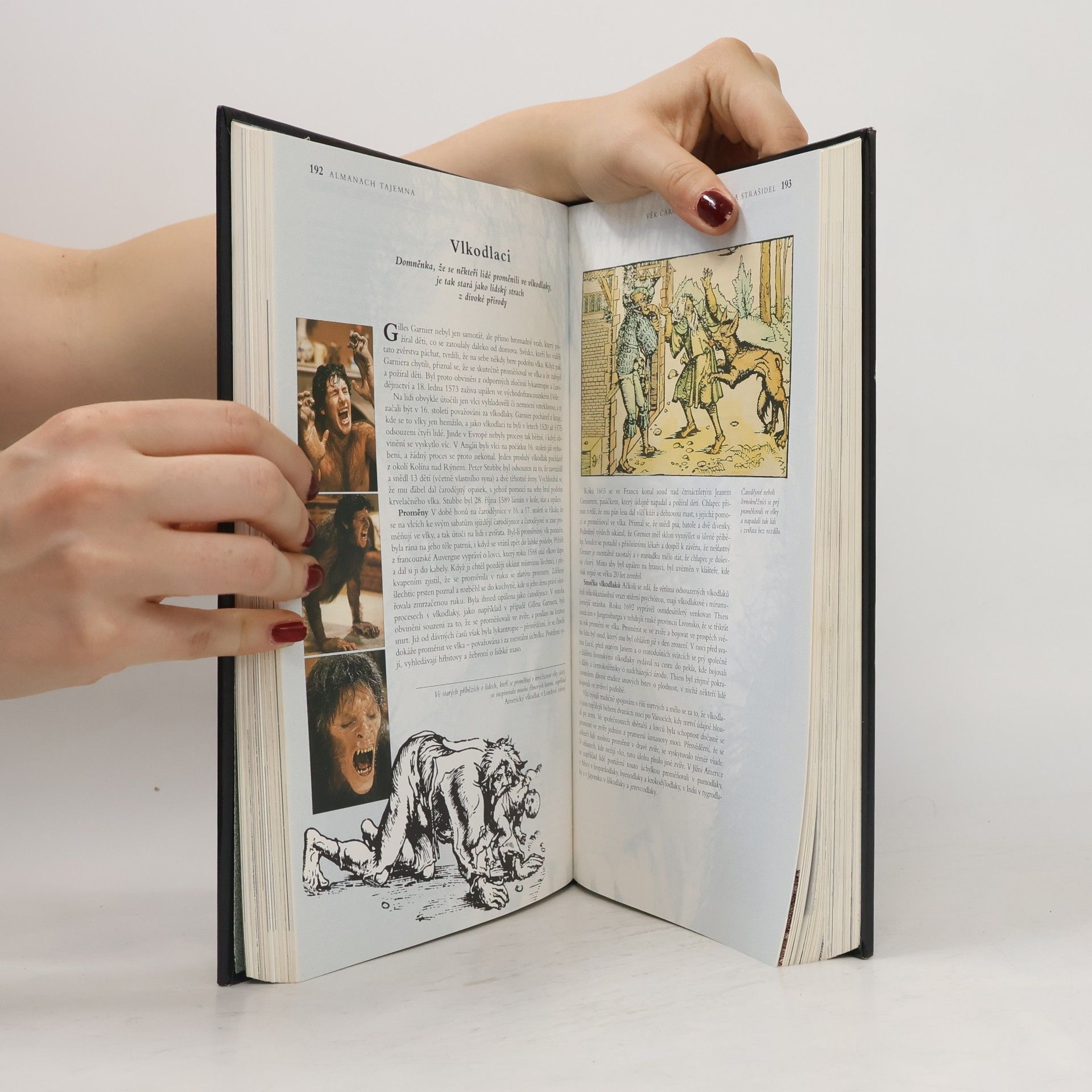 Autorenkollektiv Almanach tajemna