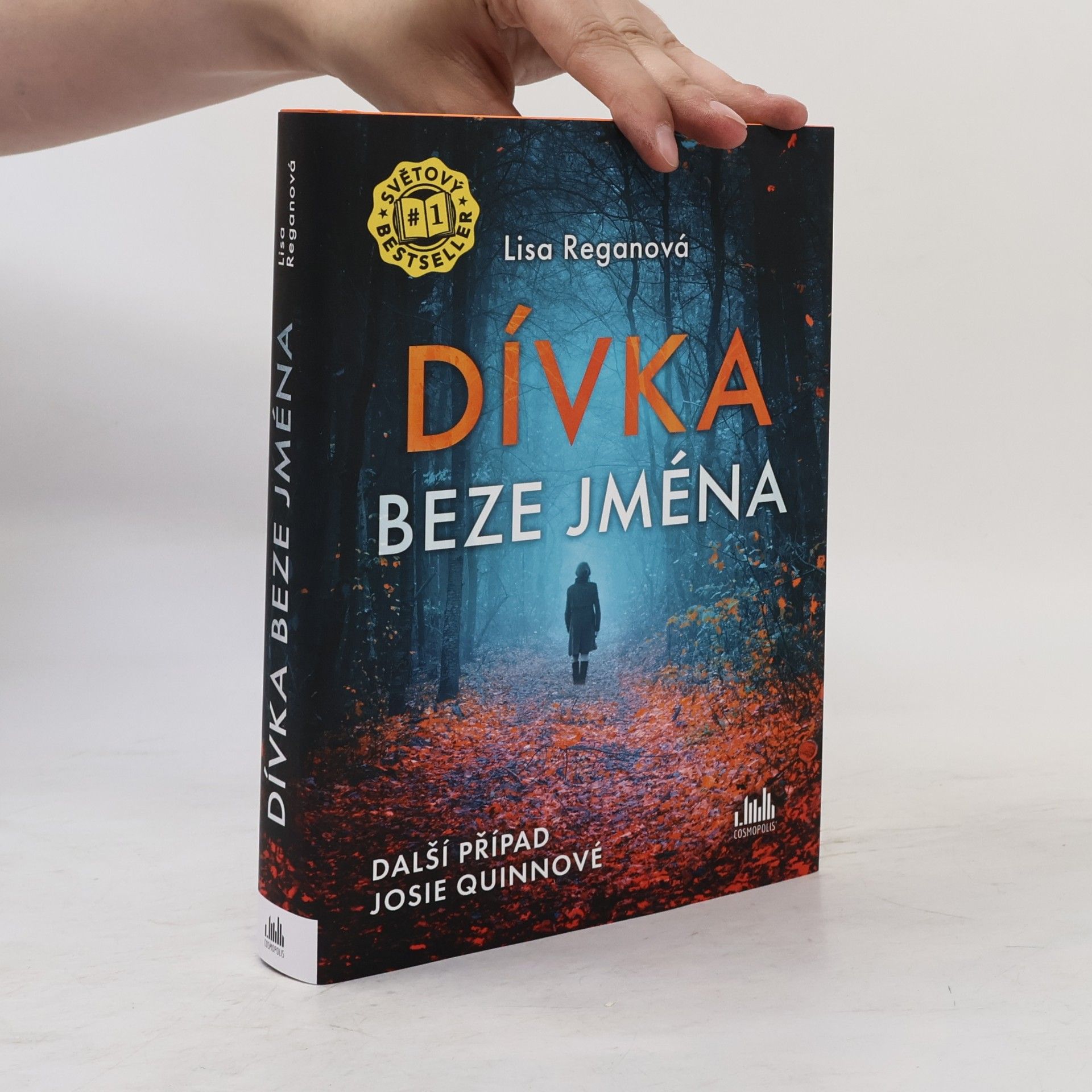 Lisa Regan Dívka beze jména: Další případ Josie Quinnové