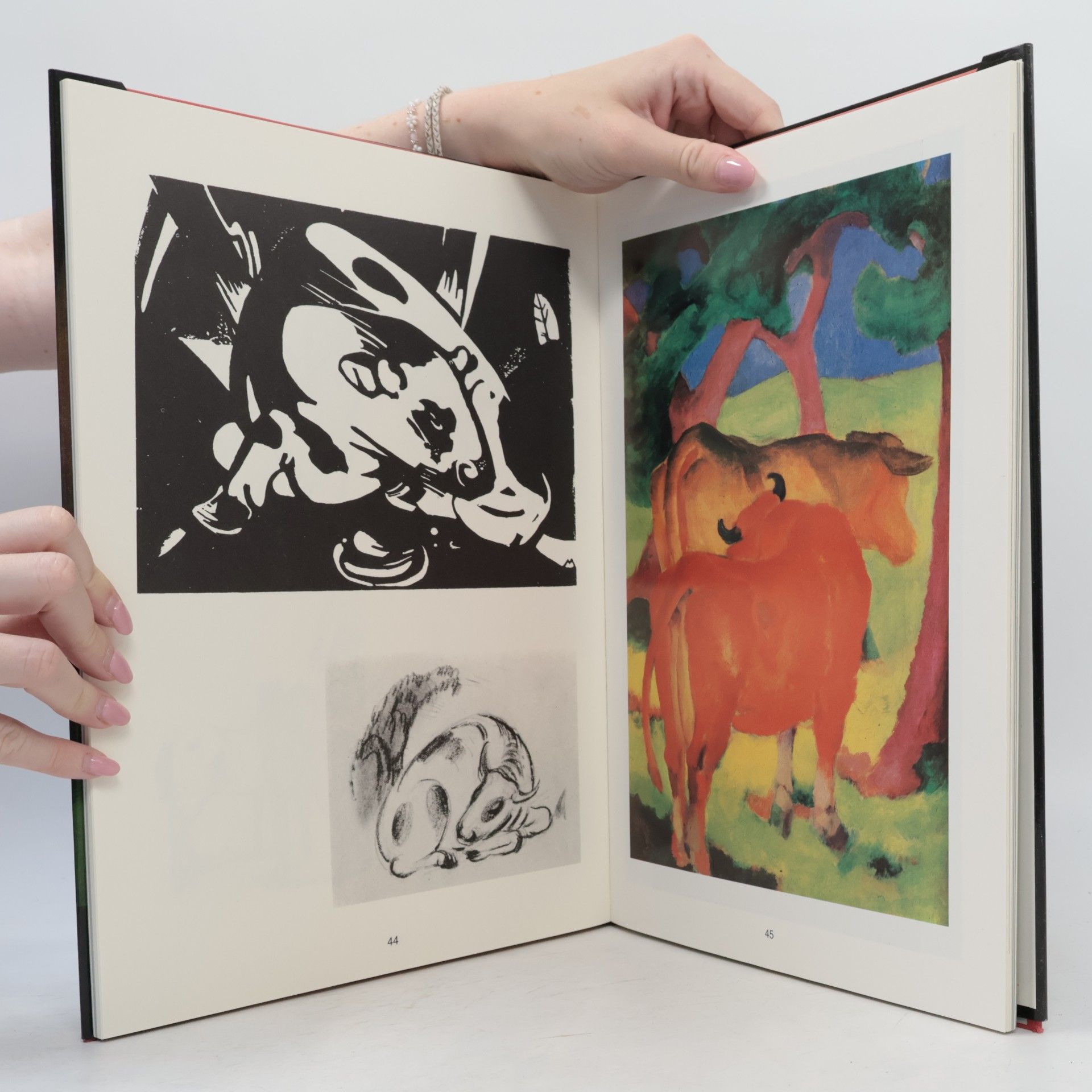 Franz Marc Franz Marc