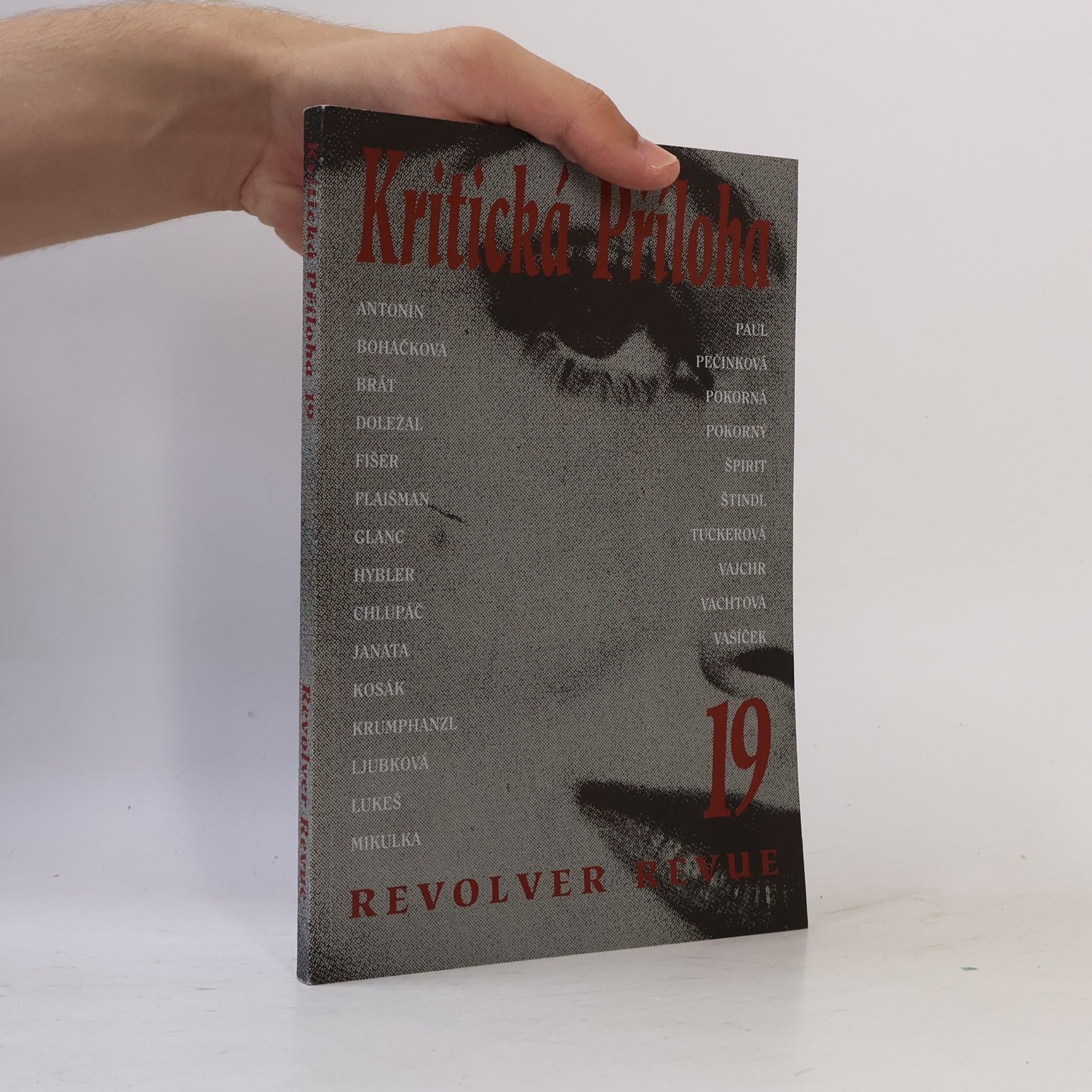 Kolektív autorov Revolver Revue 19. Kritická příloha