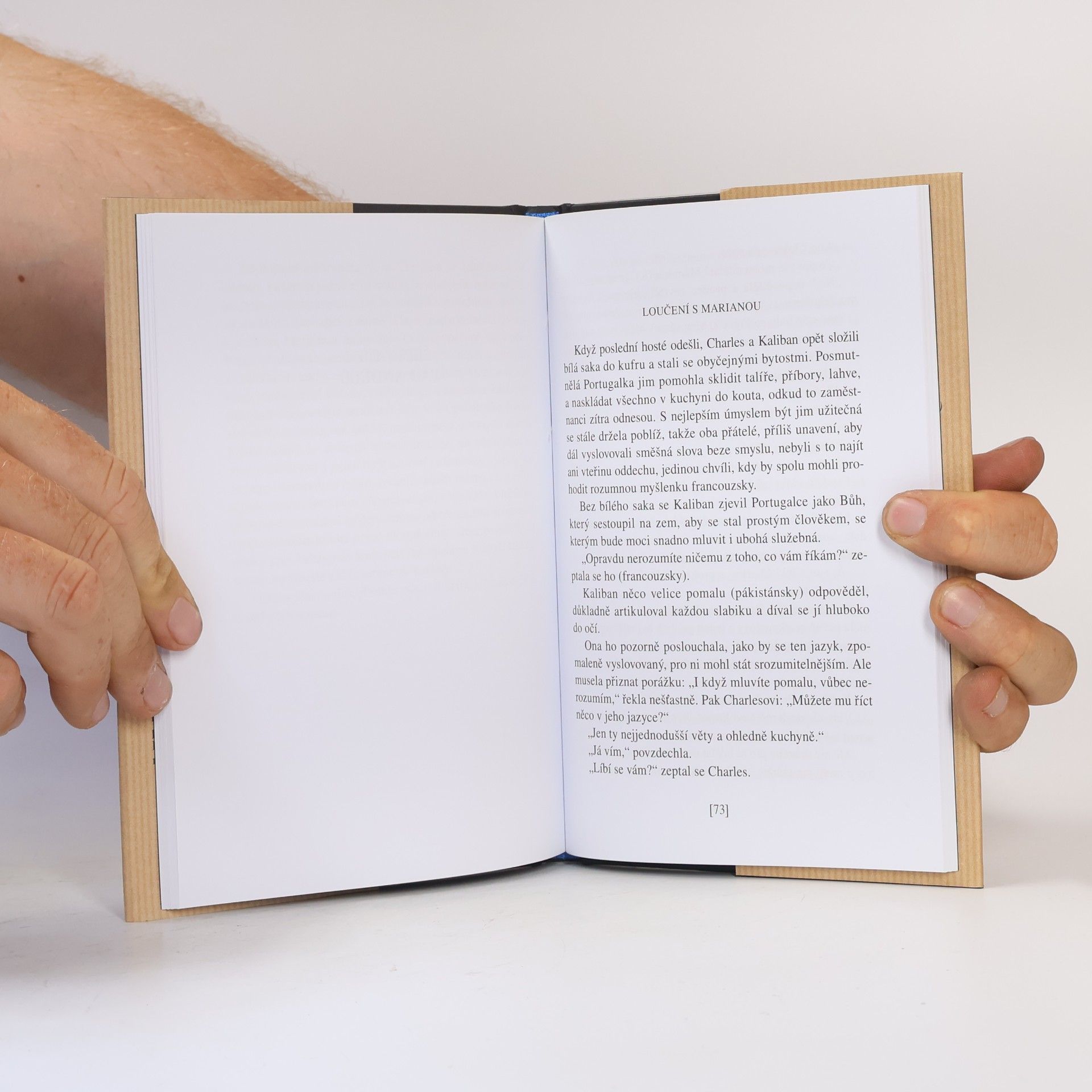 Milan Kundera Slavnost bezvýznamnosti