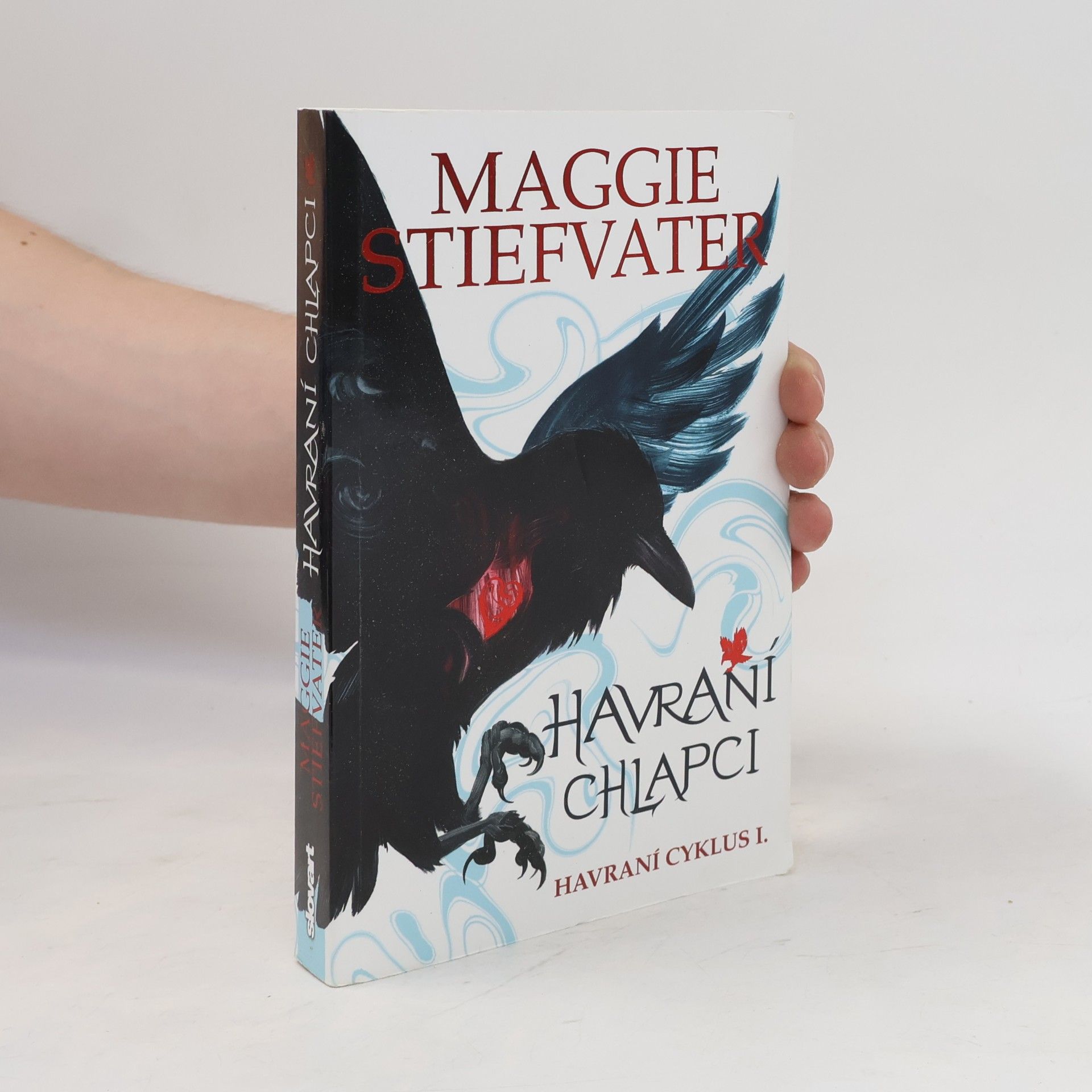 Maggie Stiefvater Havraní chlapci