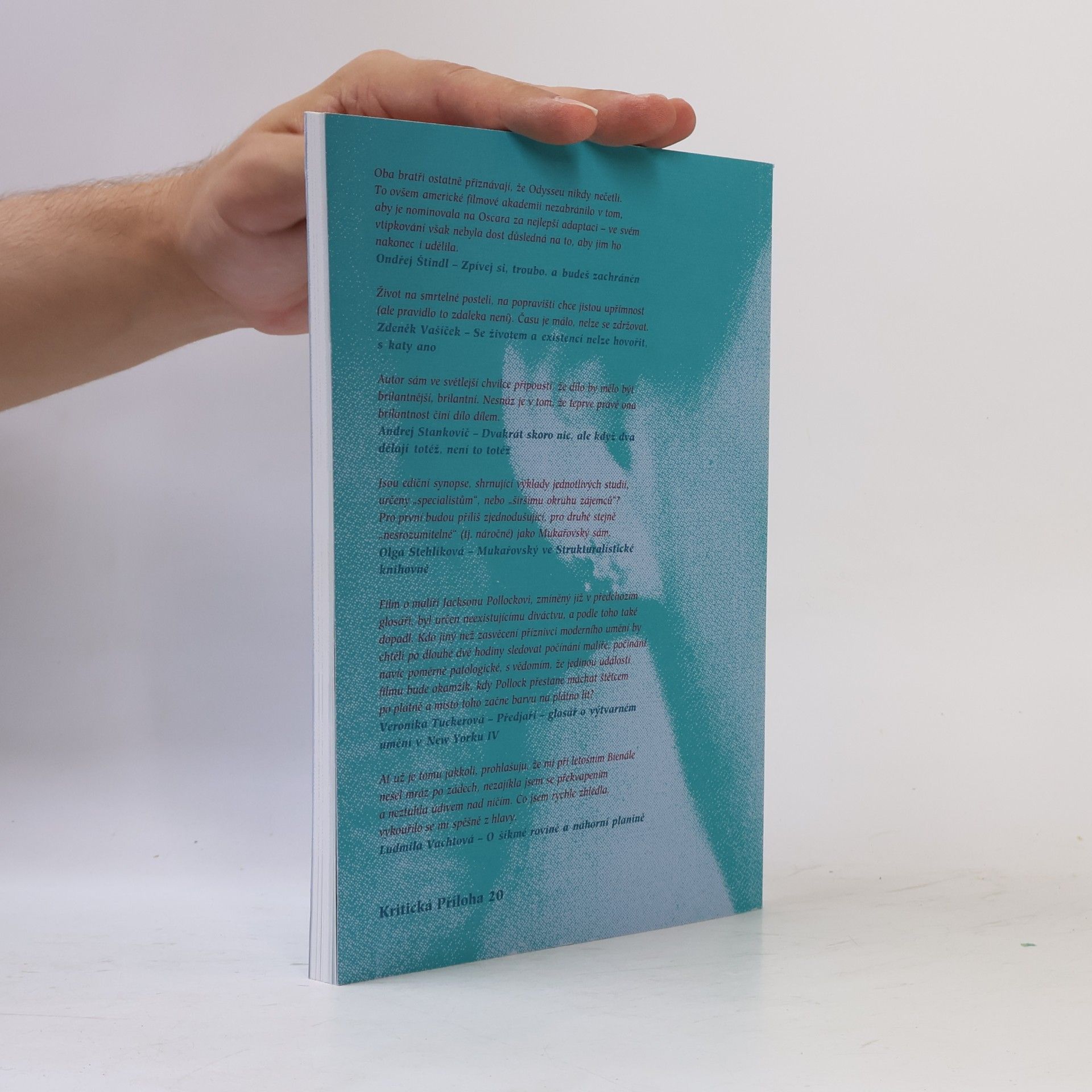 Kolektiv autorů Kritická příloha - Revolver revue 20
