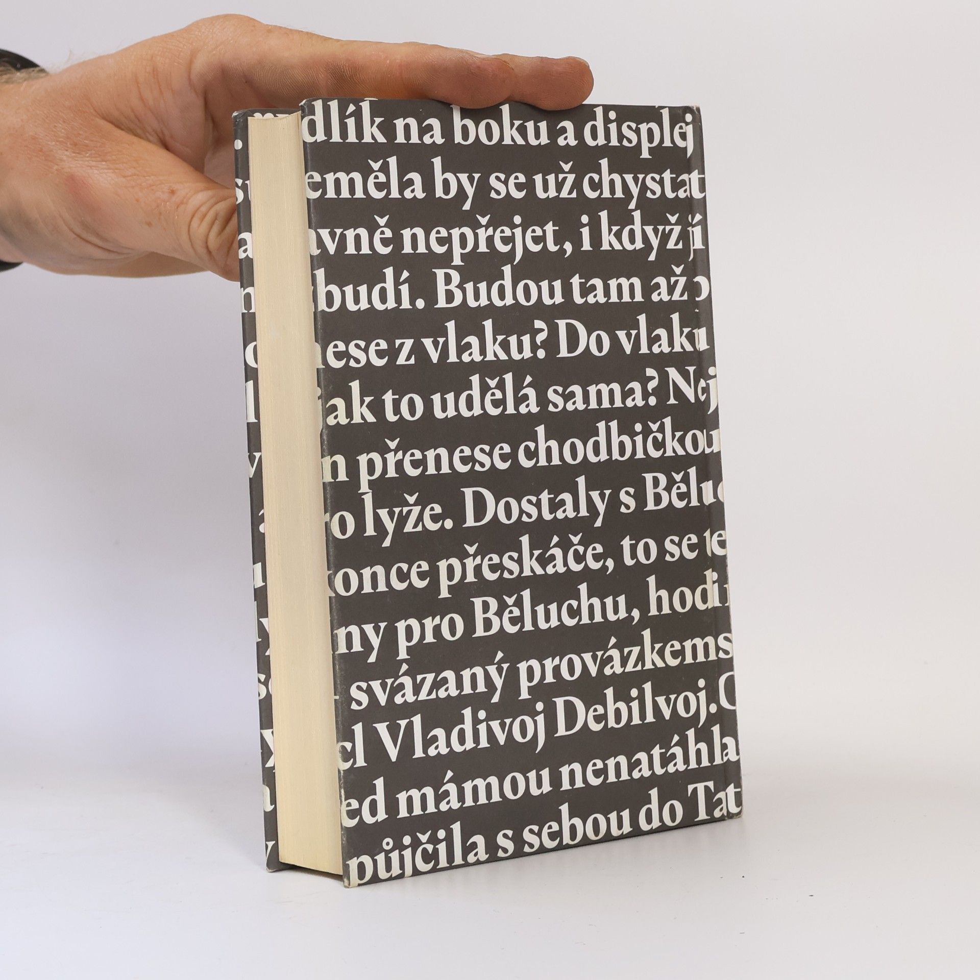 Dita Táborská Běsa